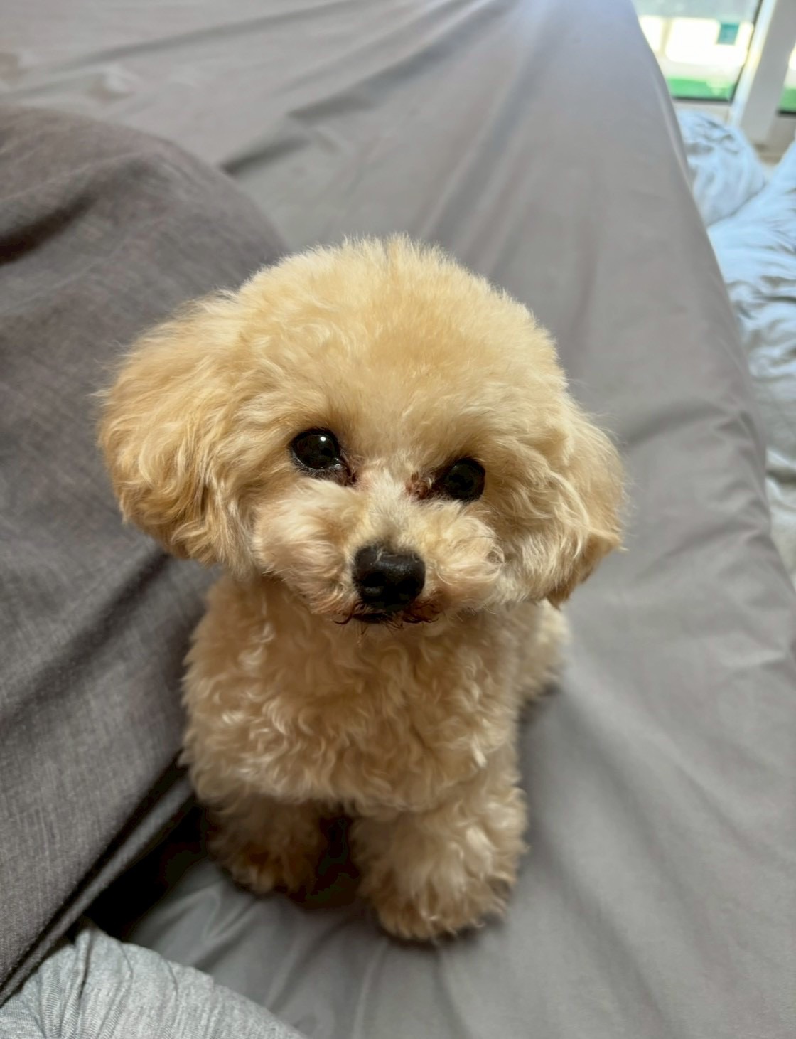 うにくん