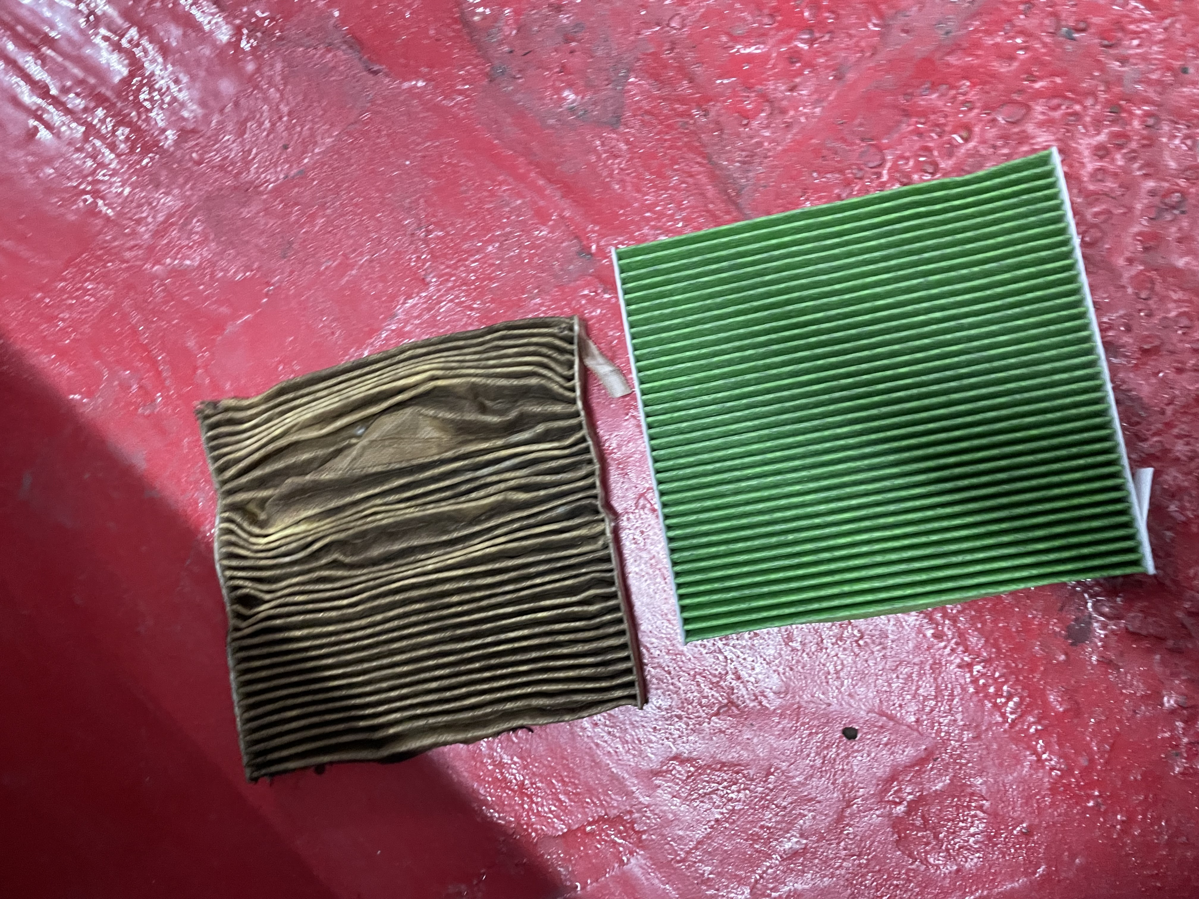 IMG_5856.jpeg?1771796476267