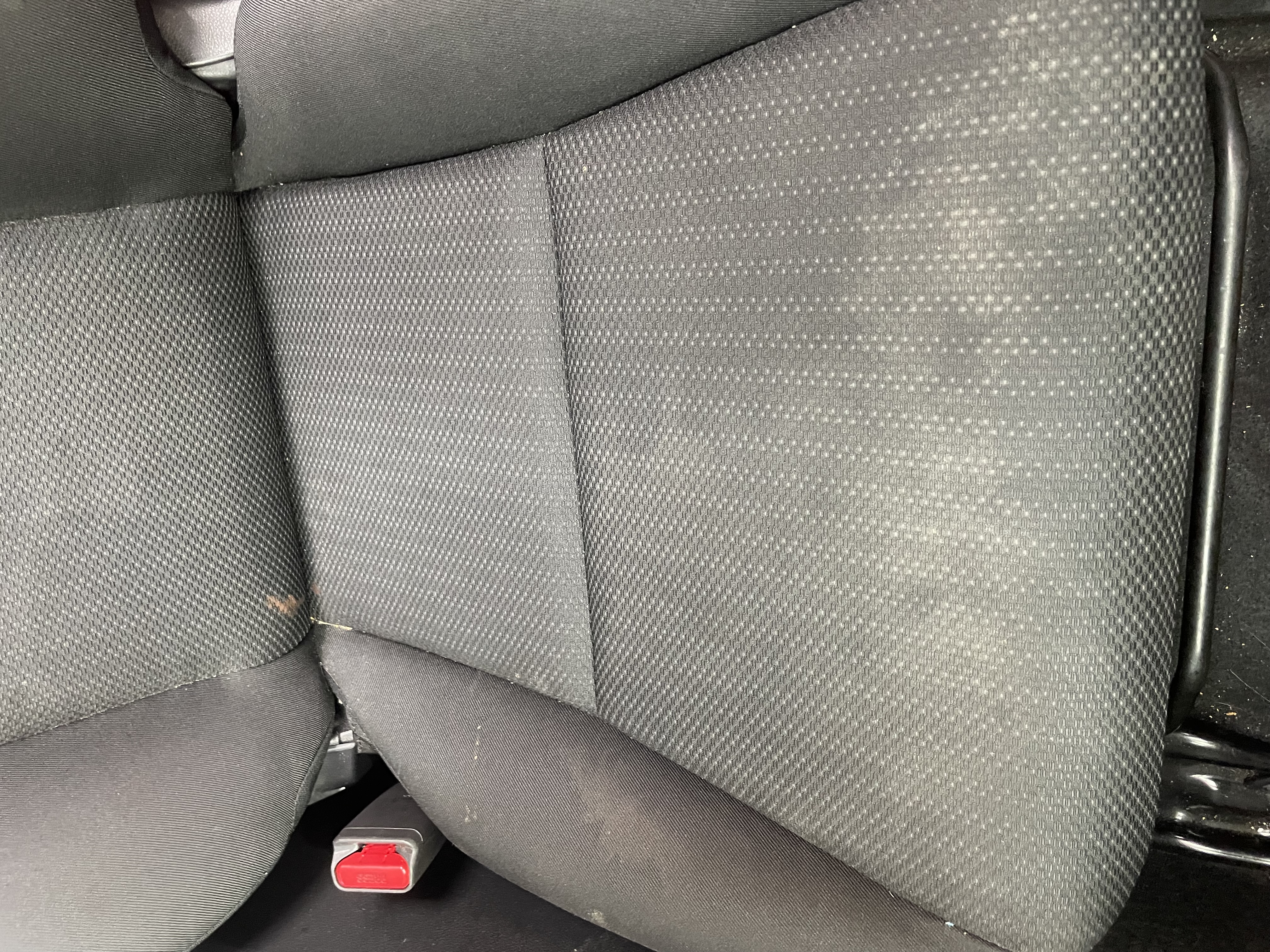 IMG_1724.jpeg?1760569029213