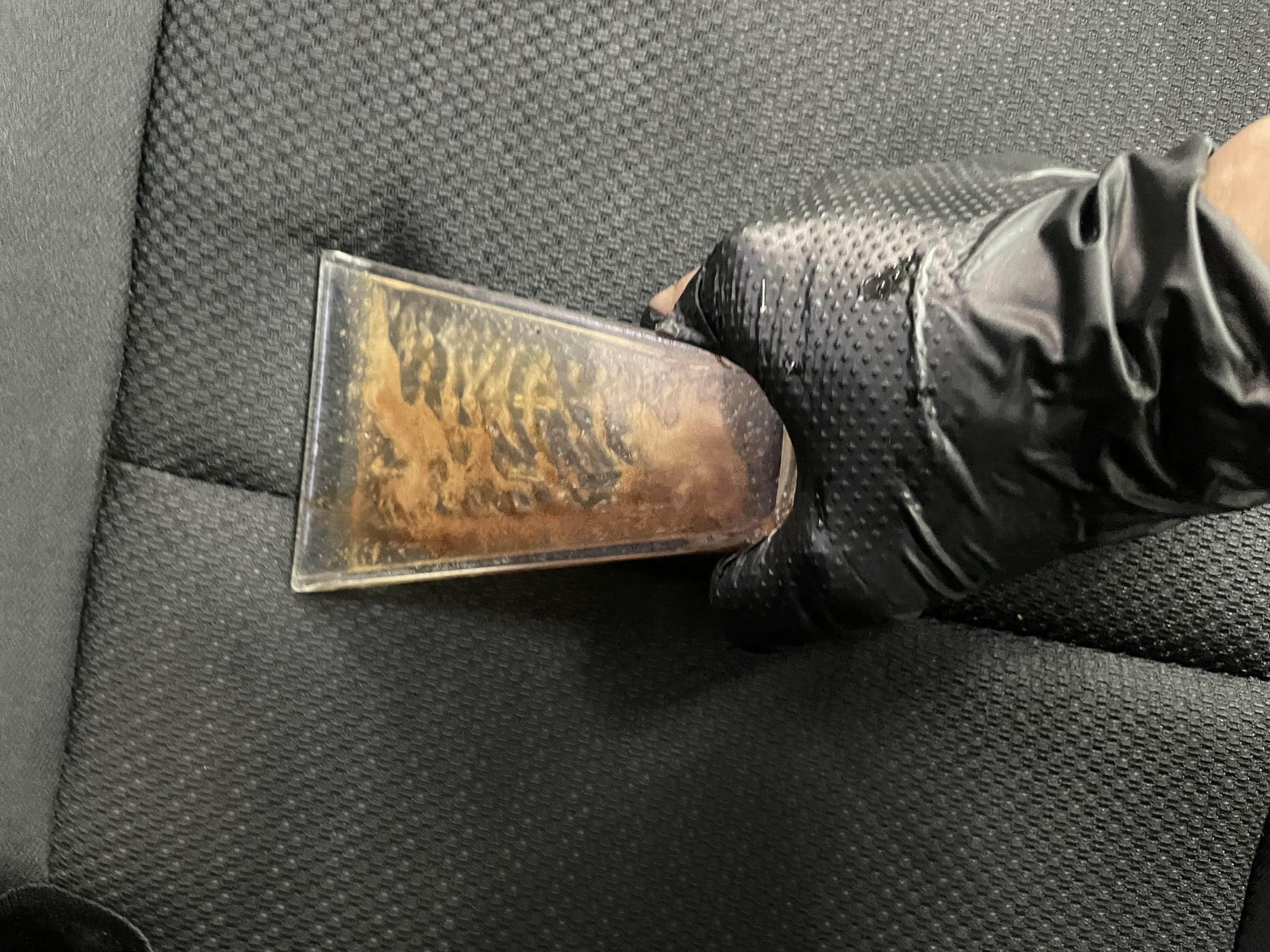 IMG_1733.jpeg?1760569138154