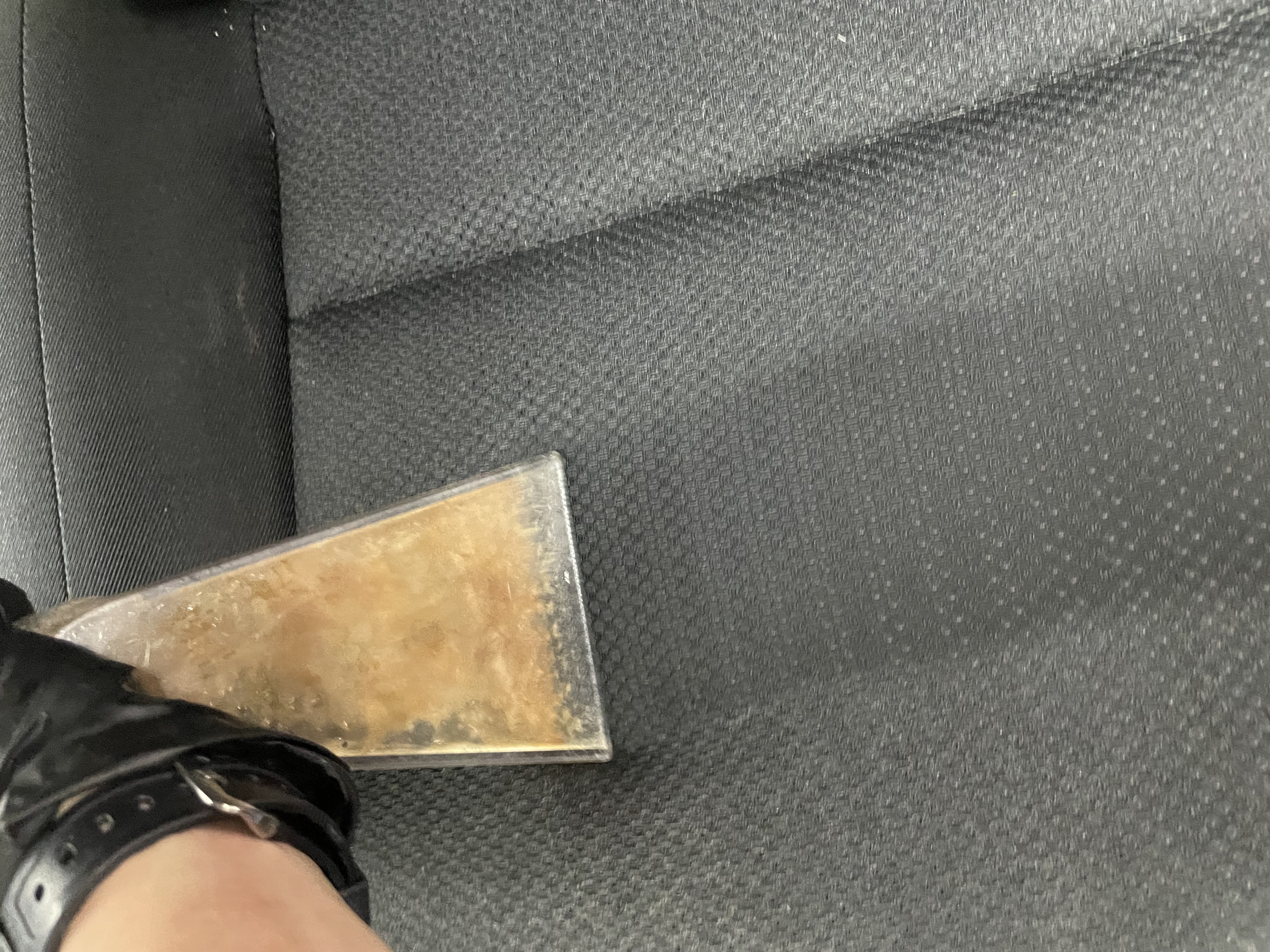 IMG_1736.jpeg?1760569187903