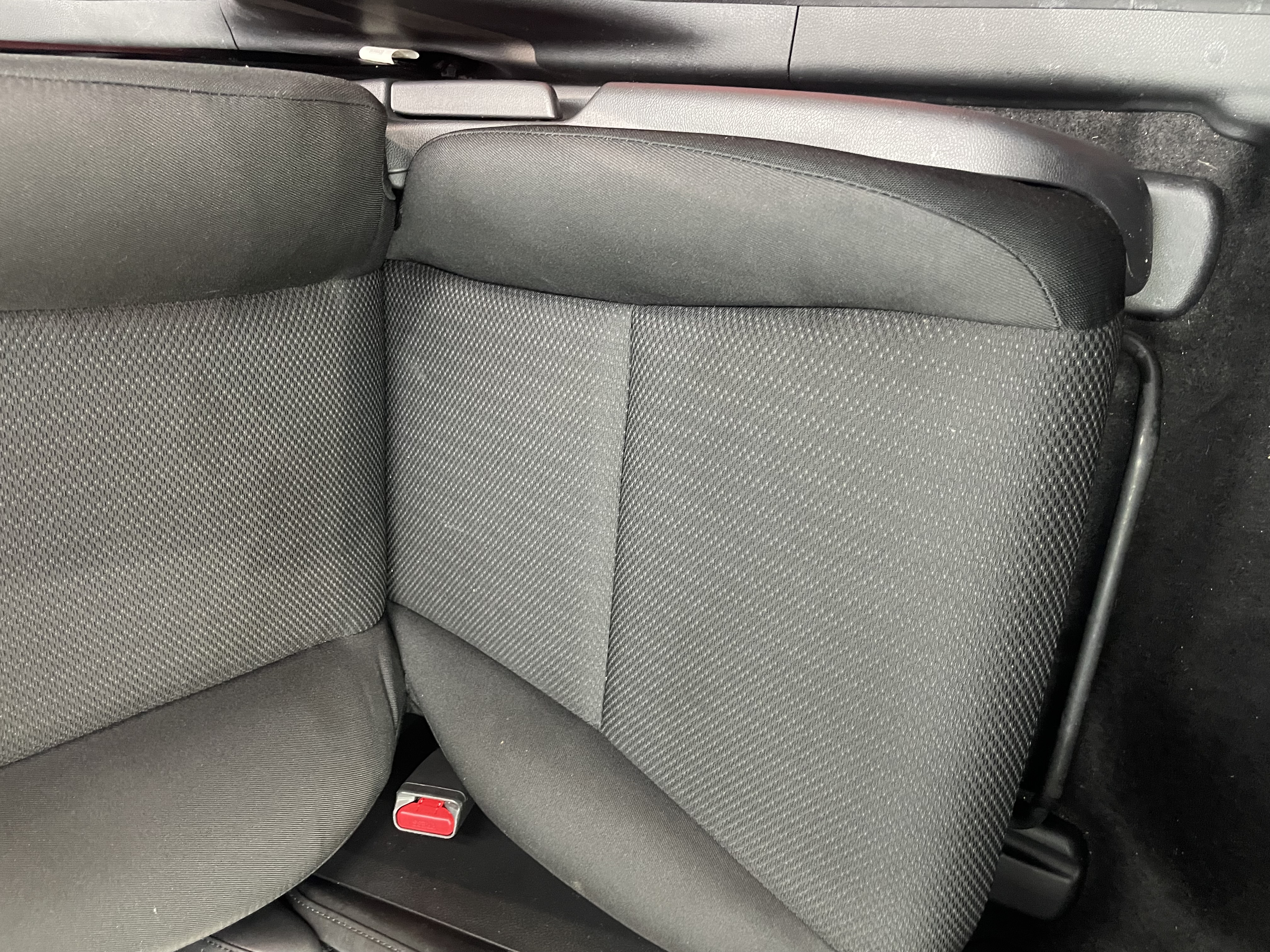 IMG_1949.jpeg?1760569302883