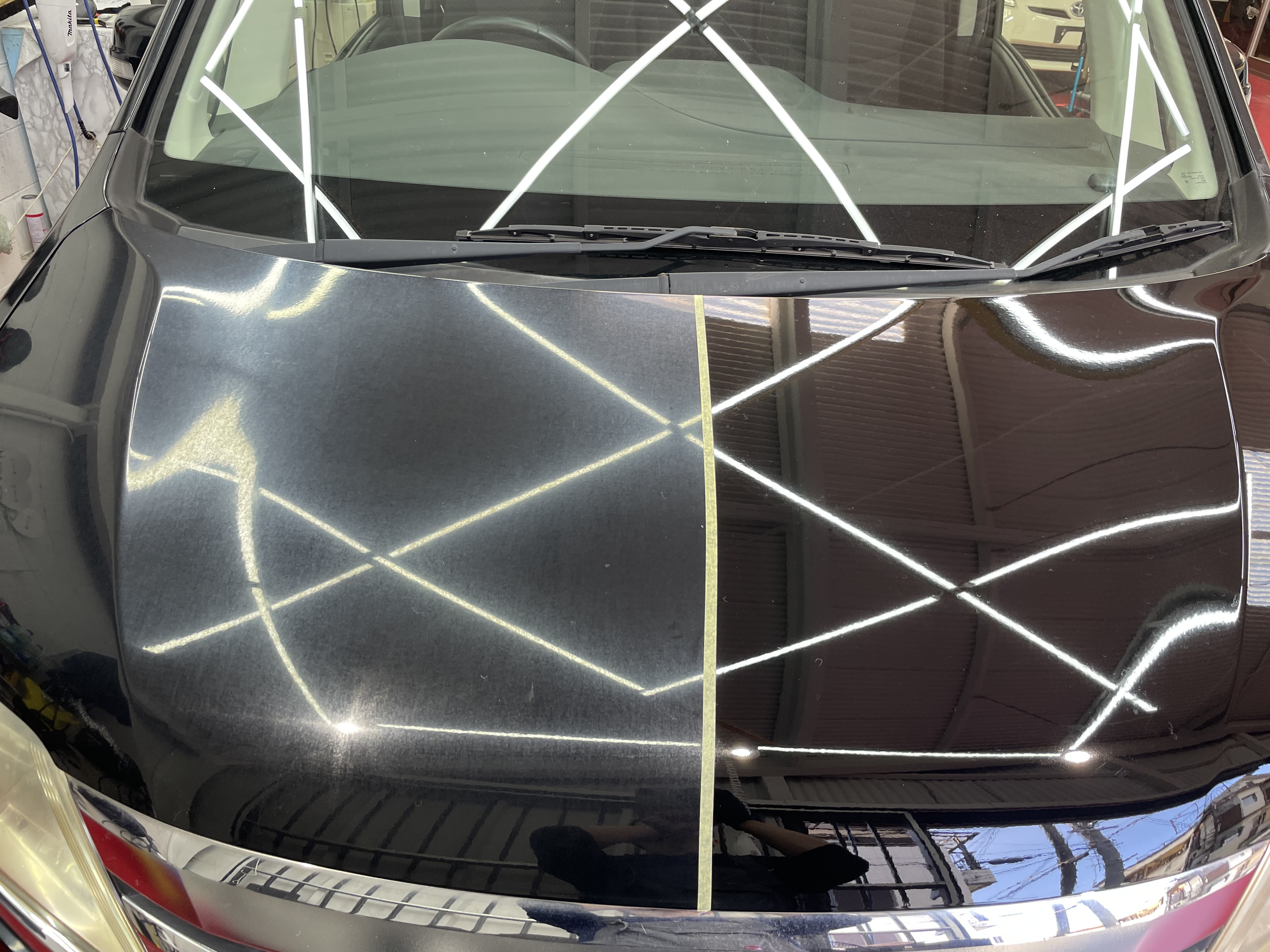 IMG_2233.jpeg?1761866070526