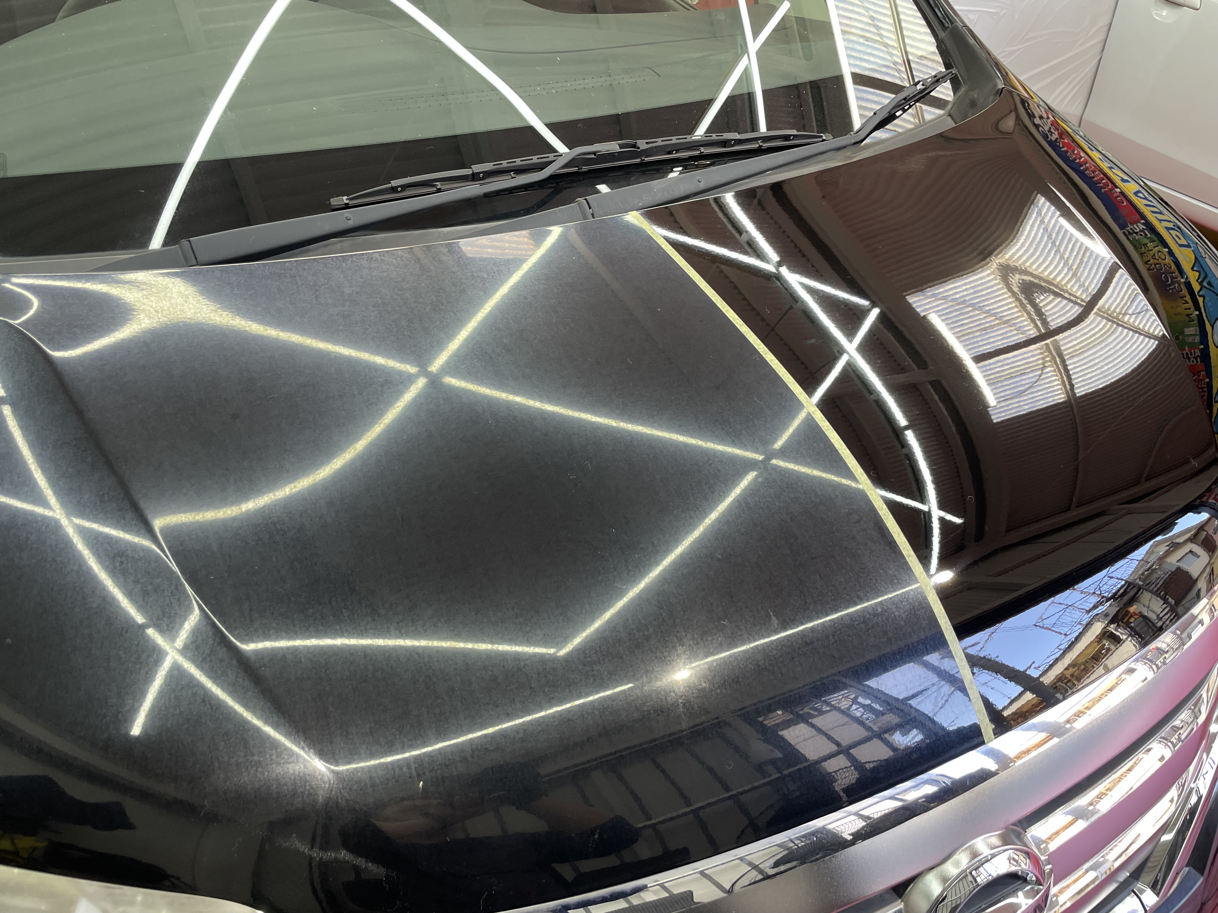 IMG_2234.jpeg?1761866224085