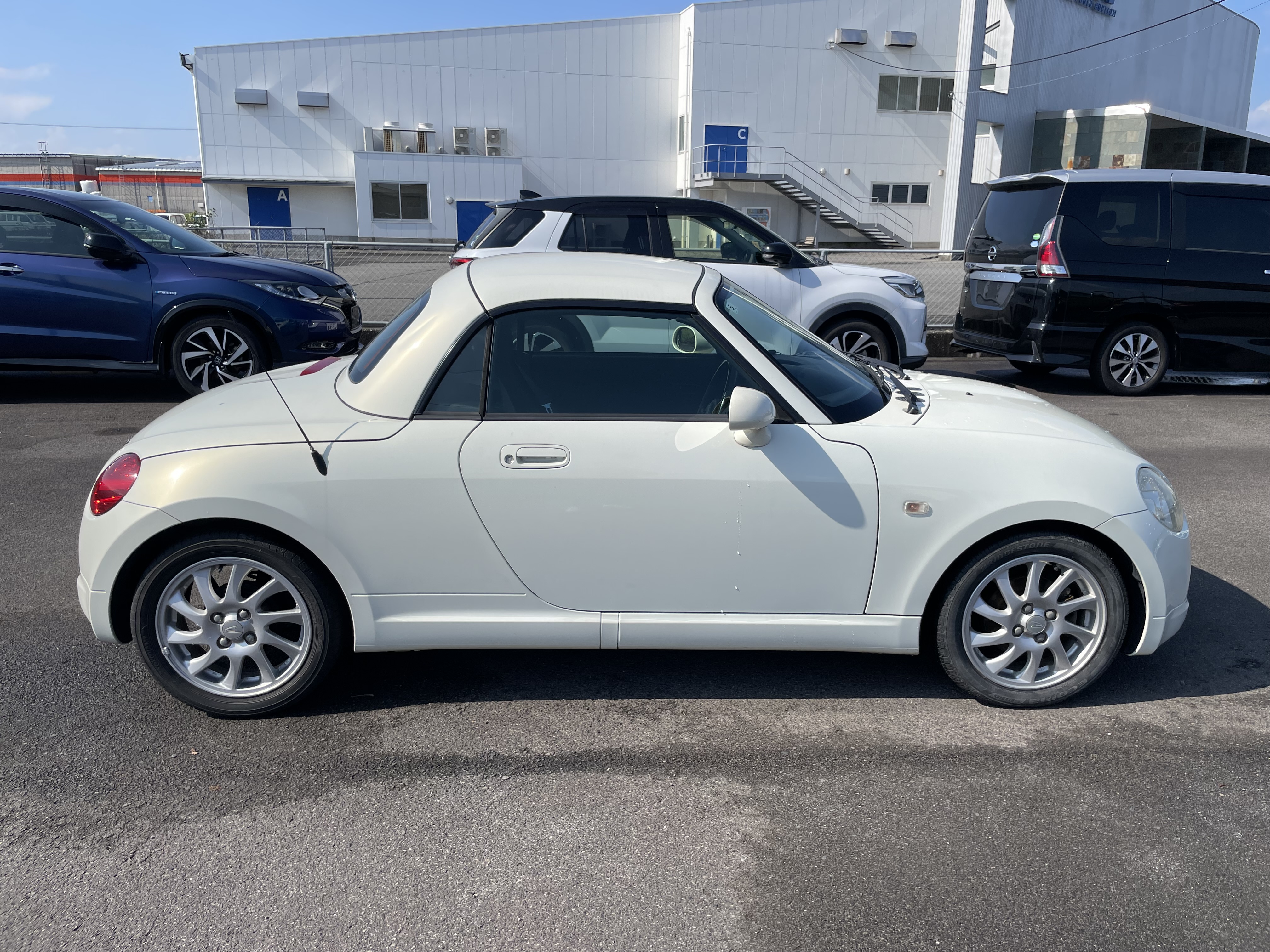 IMG_2283.jpeg?1761998938201