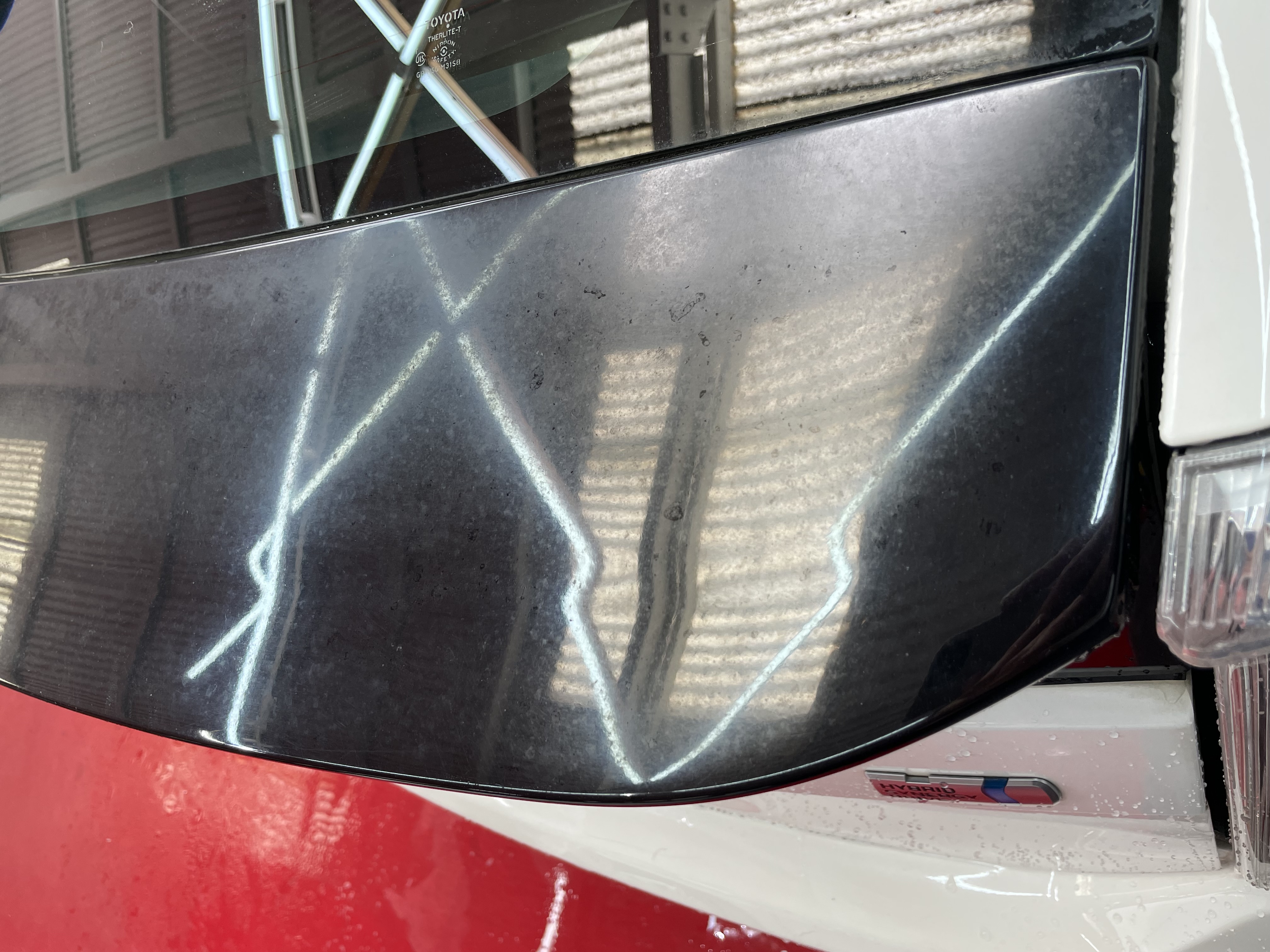 IMG_2219.jpeg?1762905419614