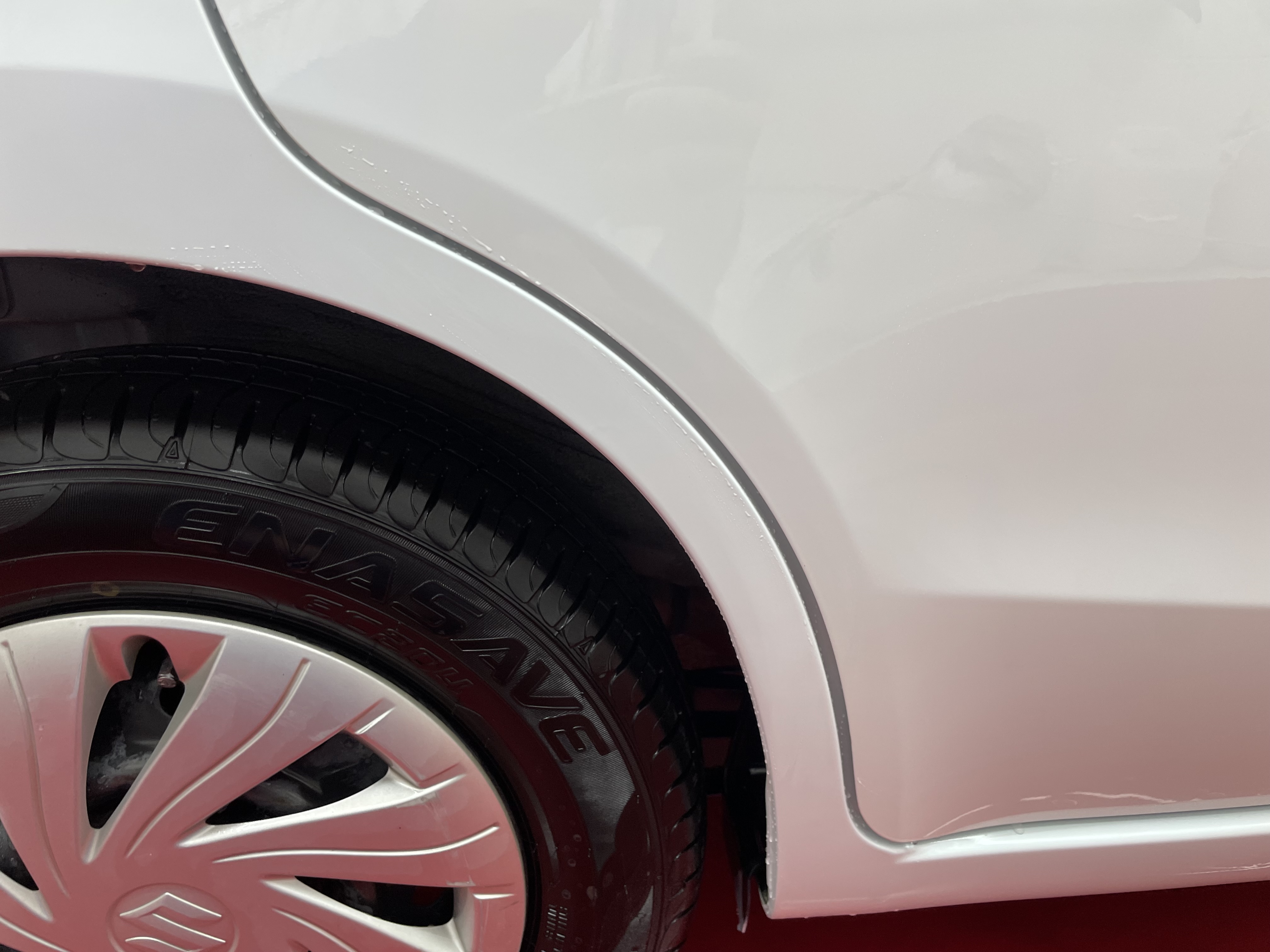 IMG_2262.jpeg?1762902205375