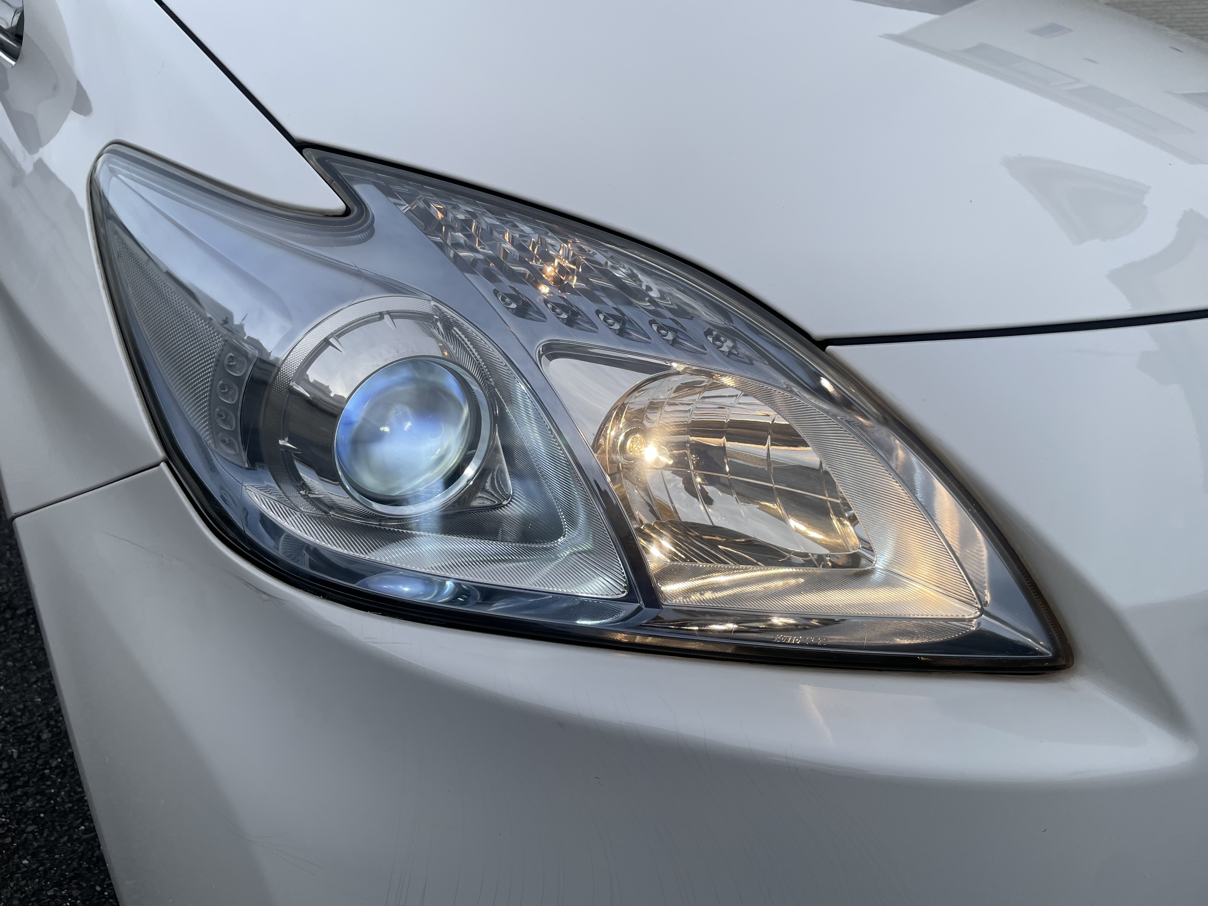 IMG_2353.jpeg?1762469220113