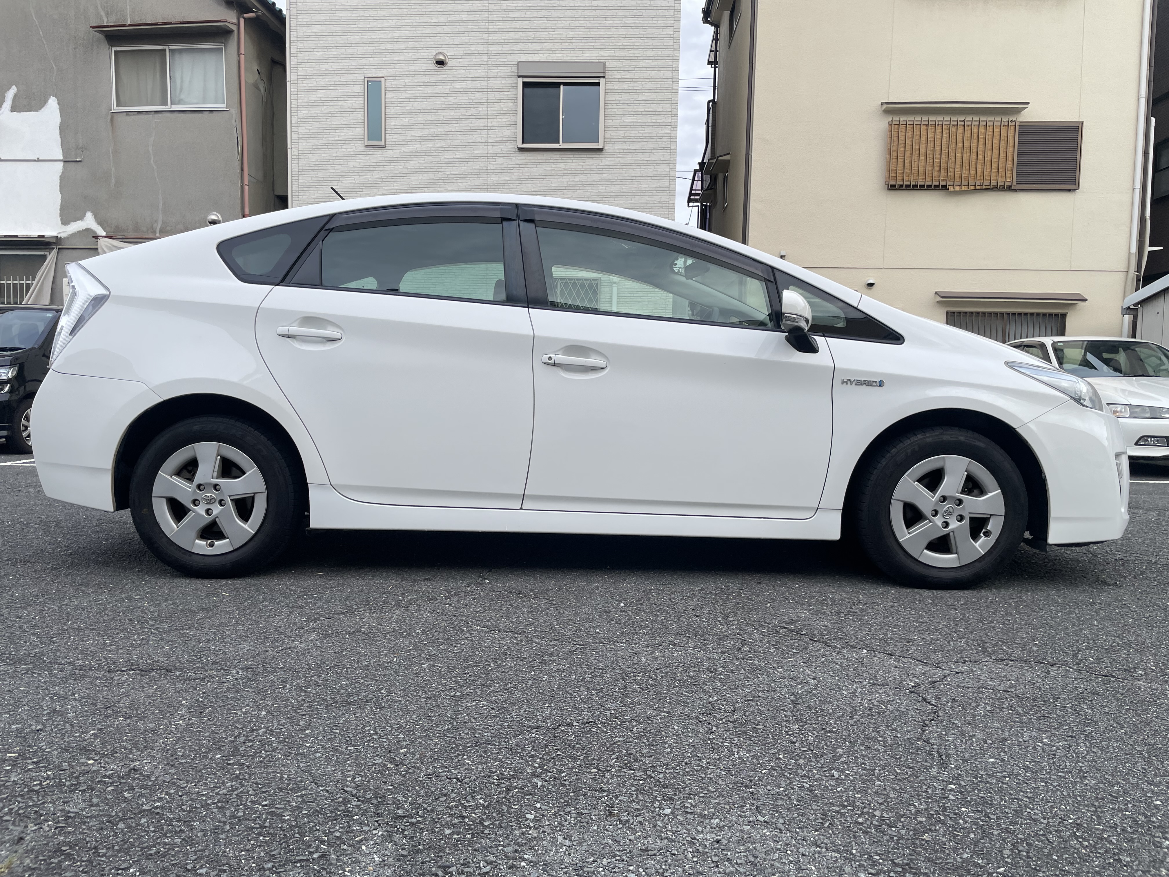 IMG_2364.jpeg?1762469290327