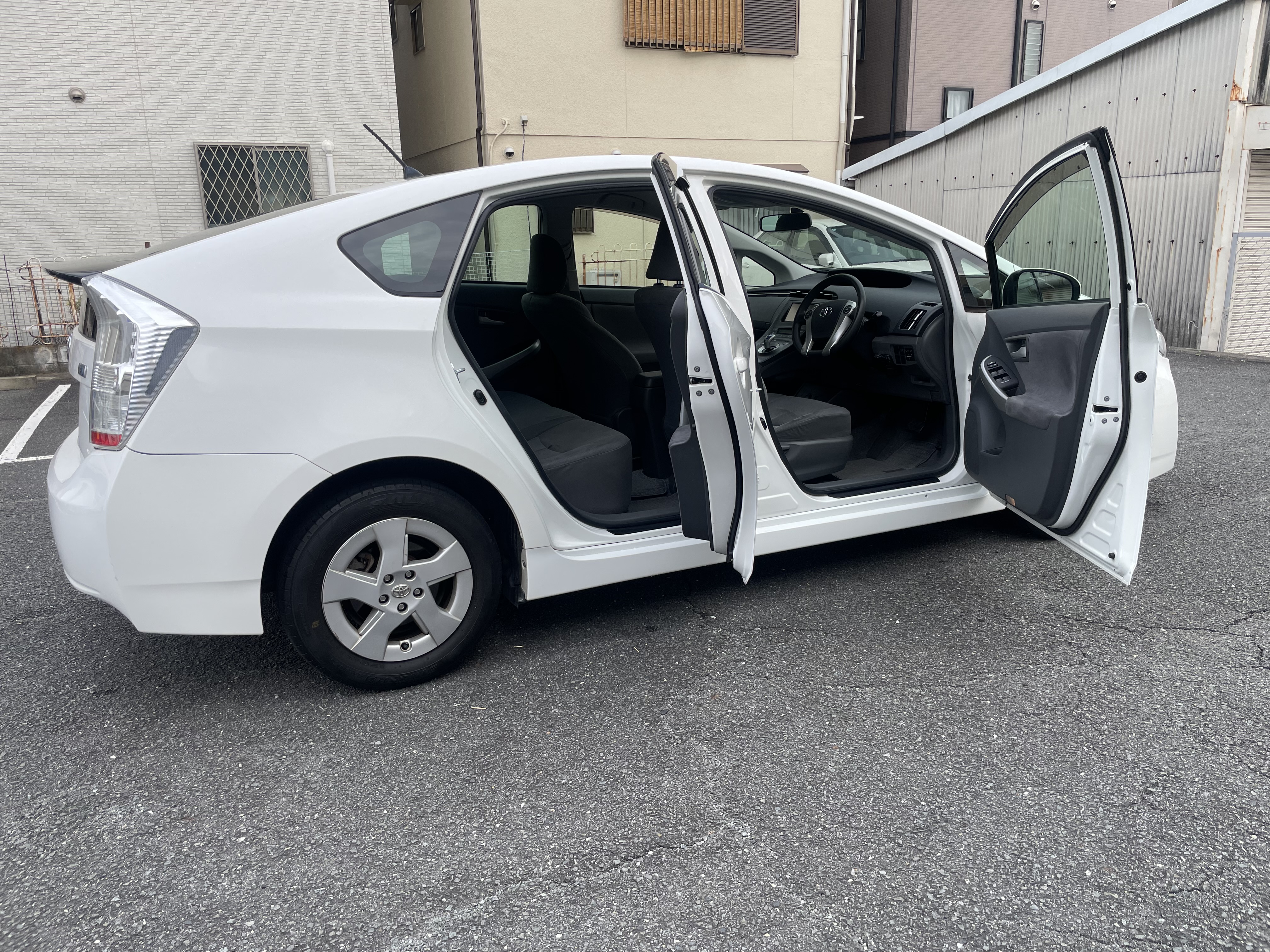 IMG_2365.jpeg?1762469255616