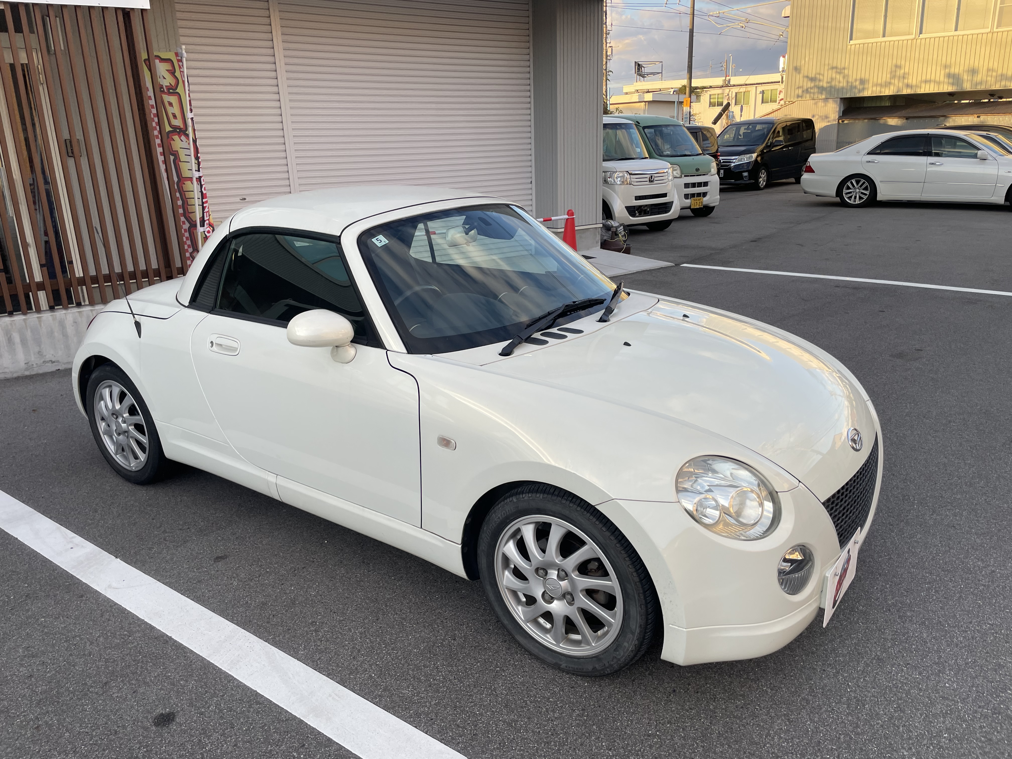 IMG_2474.jpeg?1763075540125