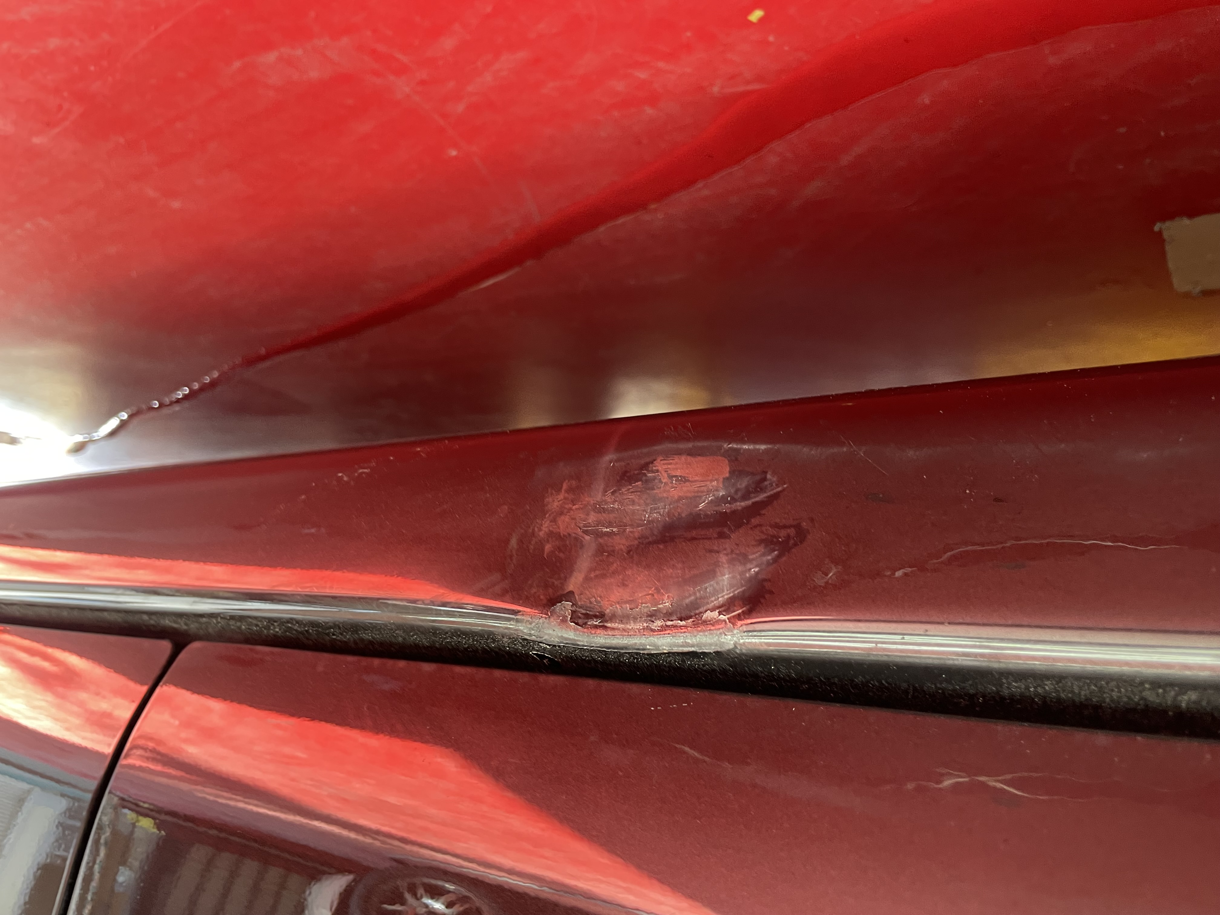 IMG_2573.jpeg?1763684840419