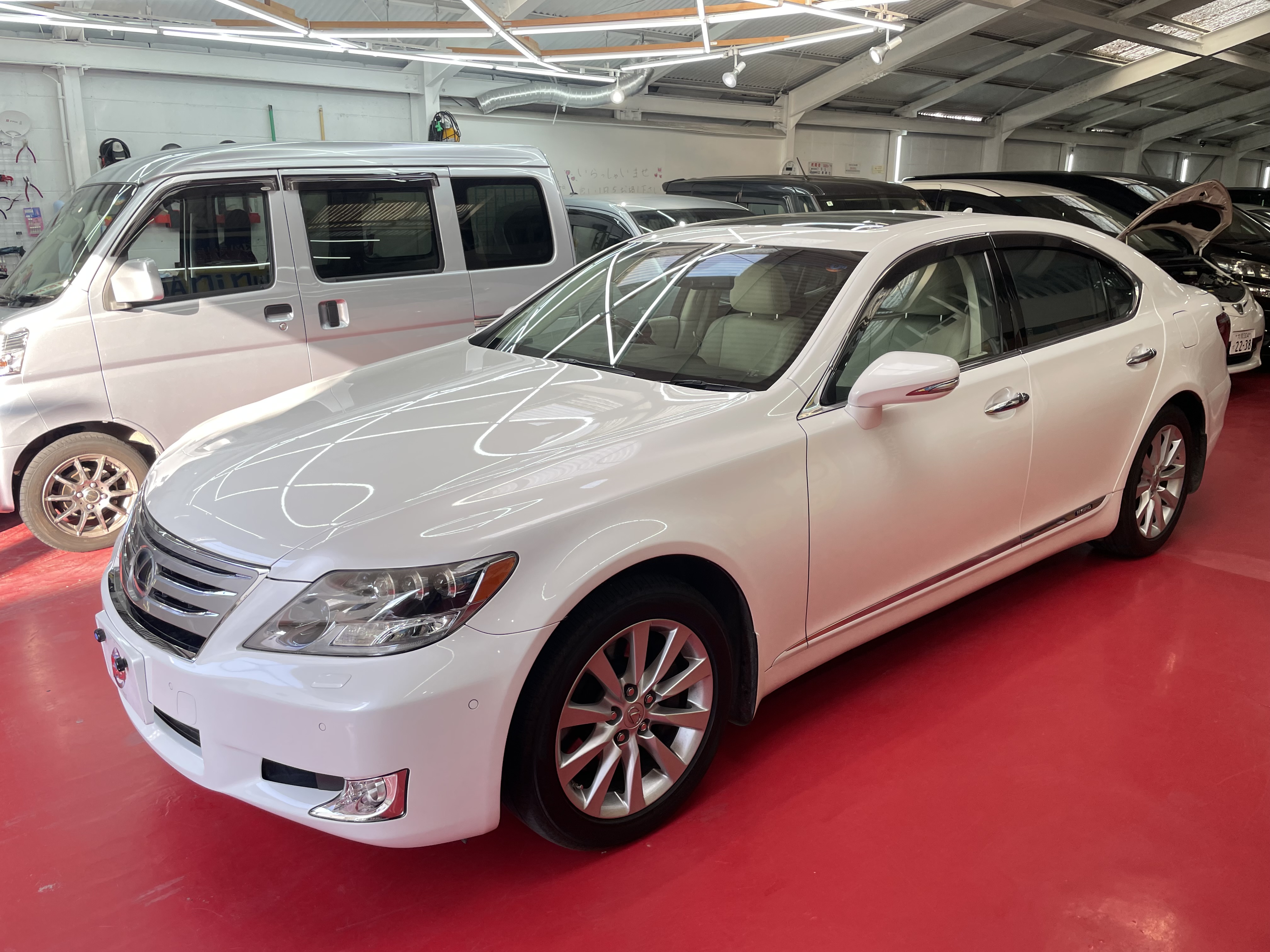 IMG_3359.jpeg?1765233232529