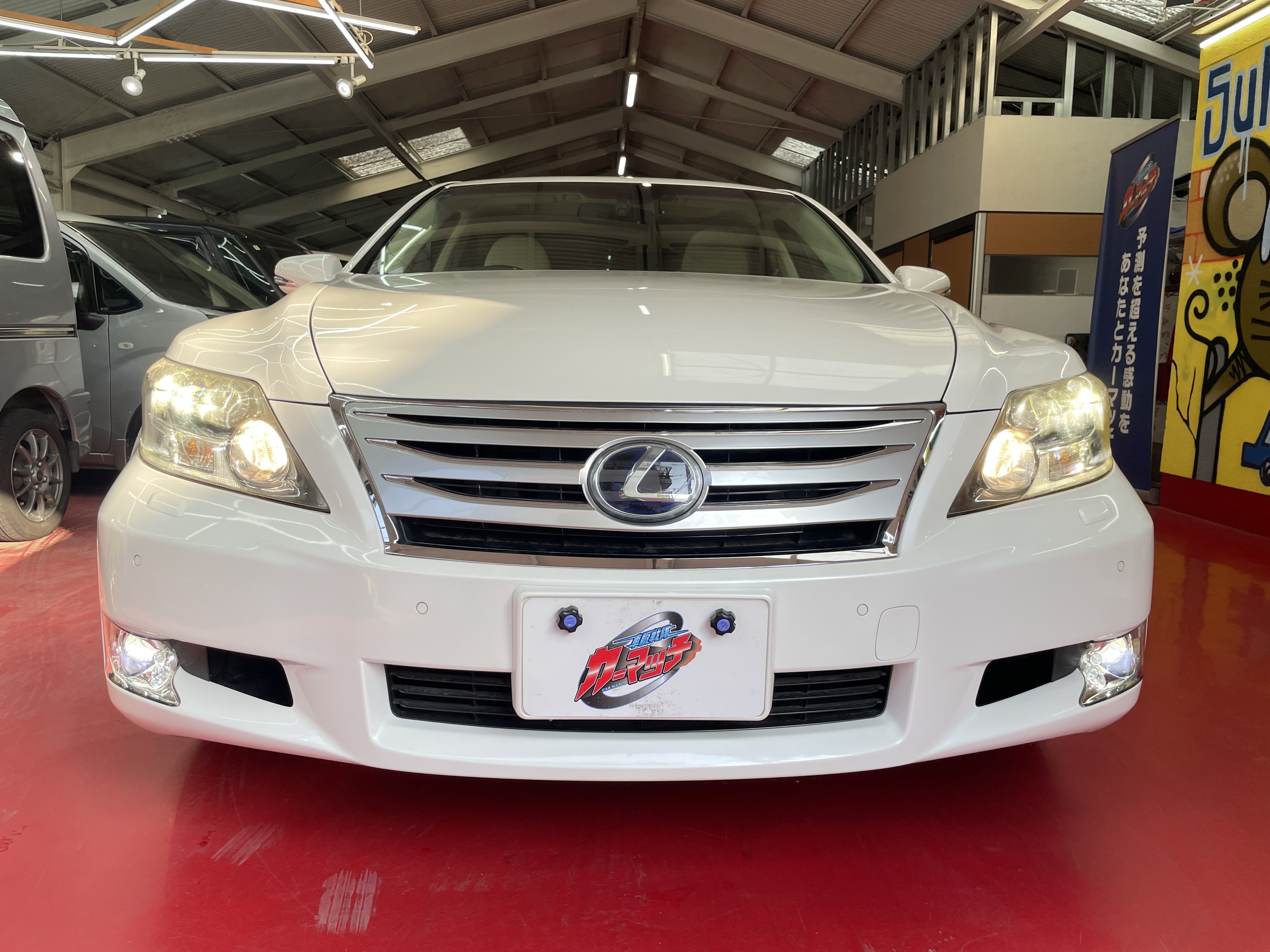 IMG_3369.jpeg?1765233270645