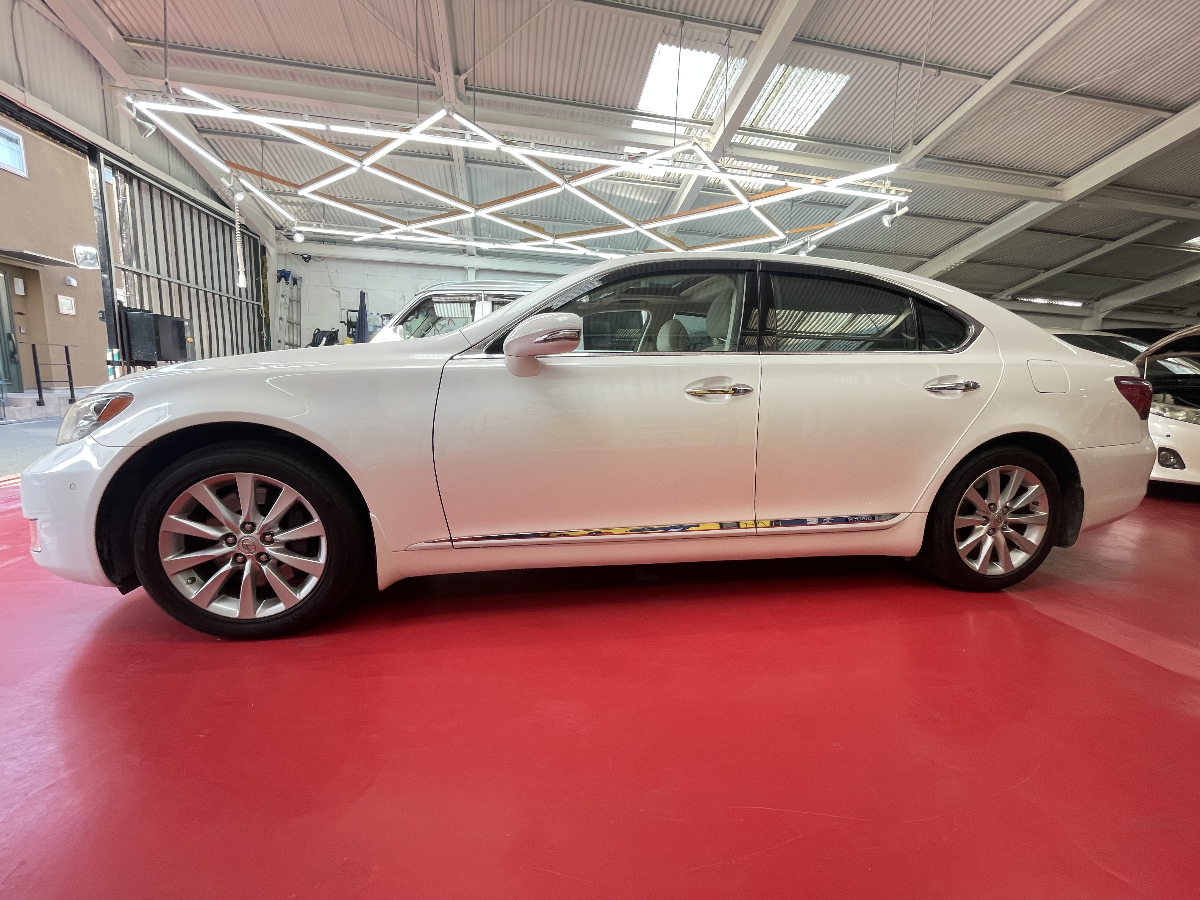 IMG_3381.jpeg?1765233585288