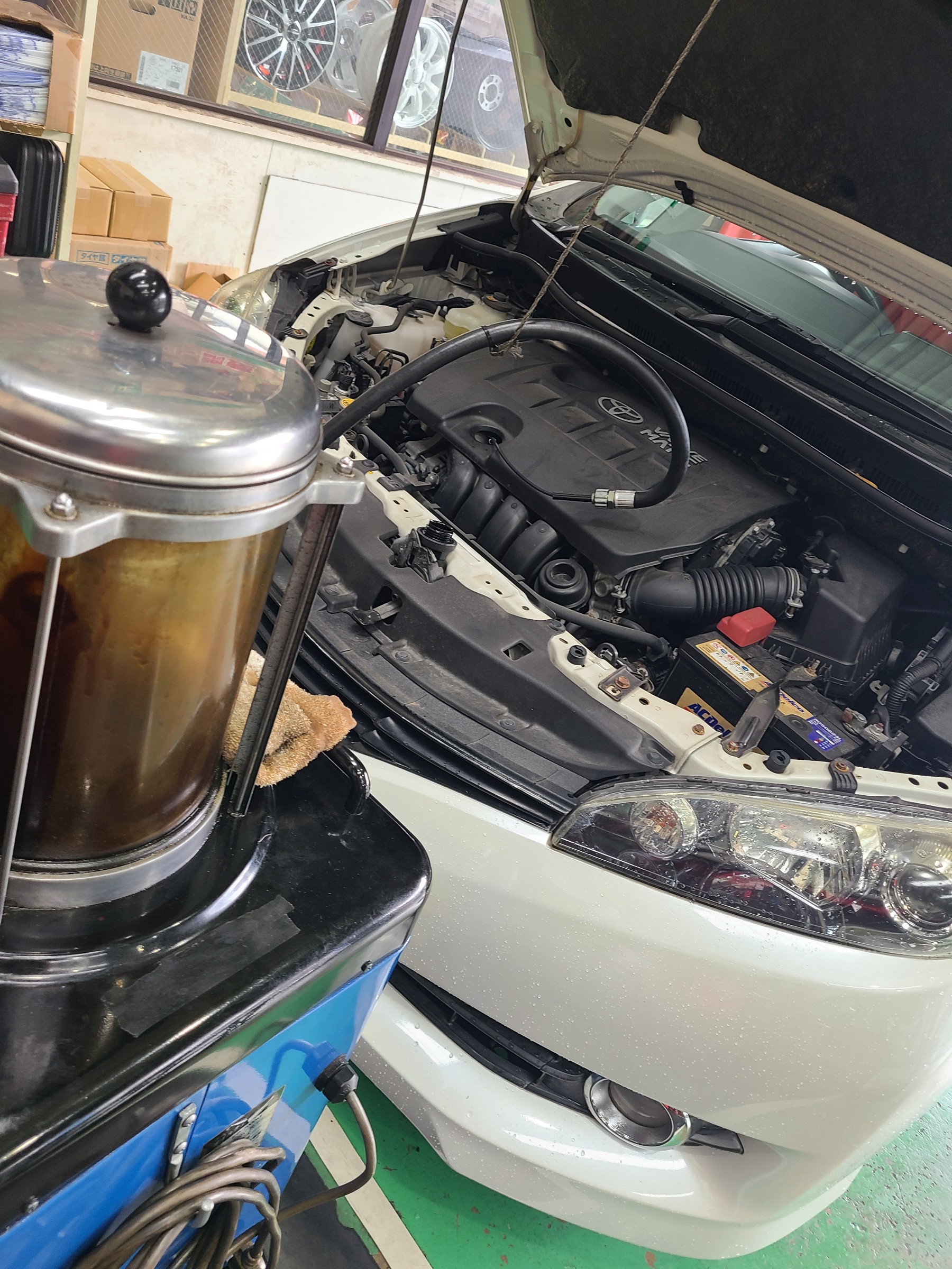 IMG_4087.jpeg?1766277800899