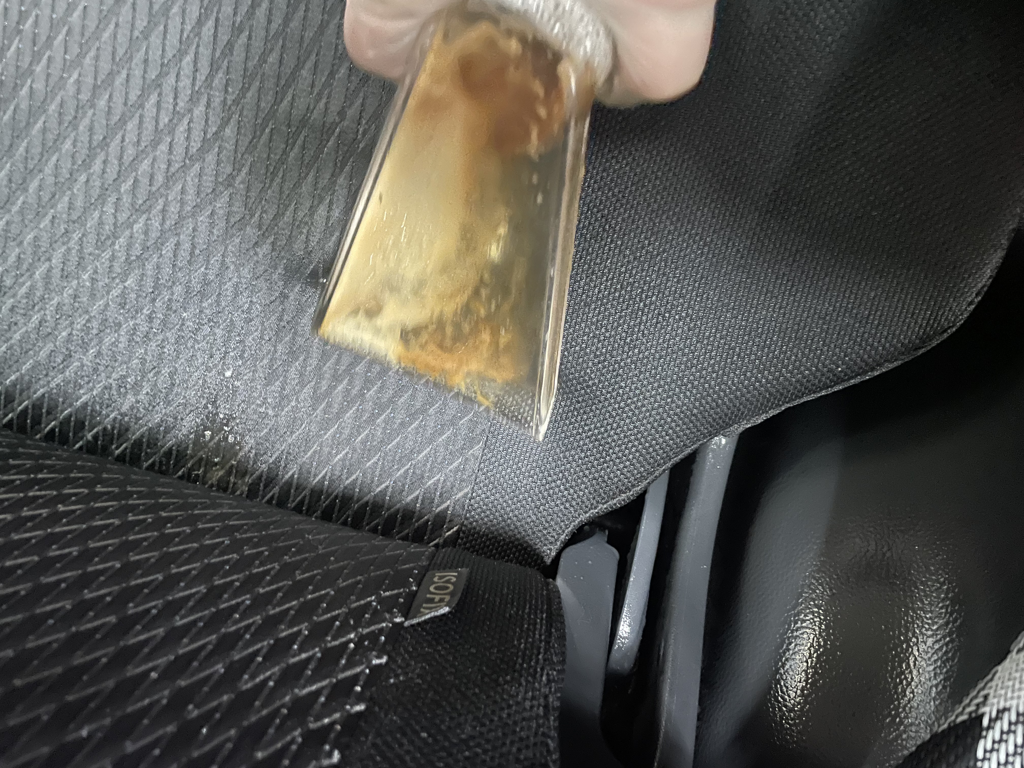 IMG_4130.jpeg?1768001796222