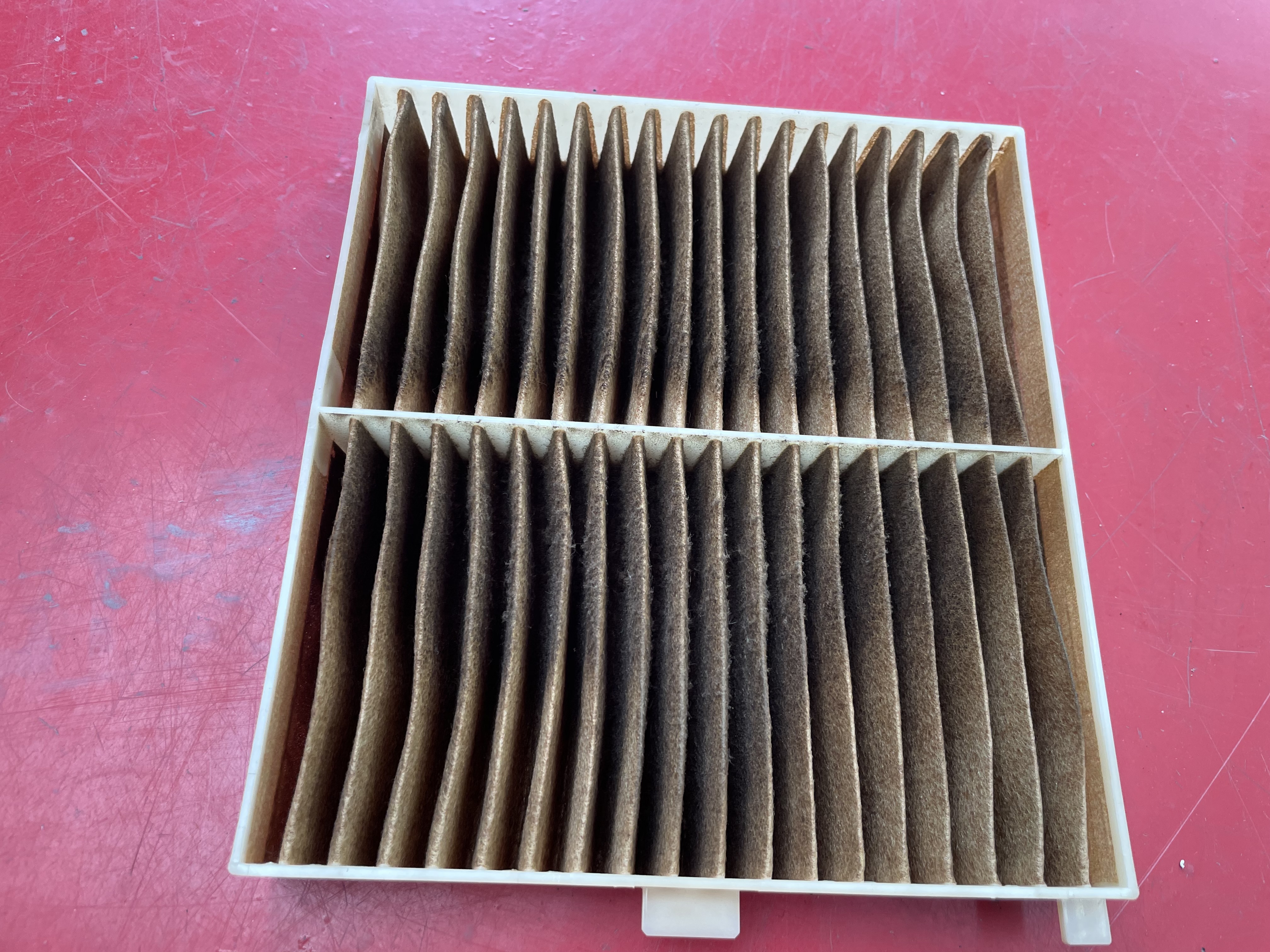 IMG_4666.jpeg?1768864229090