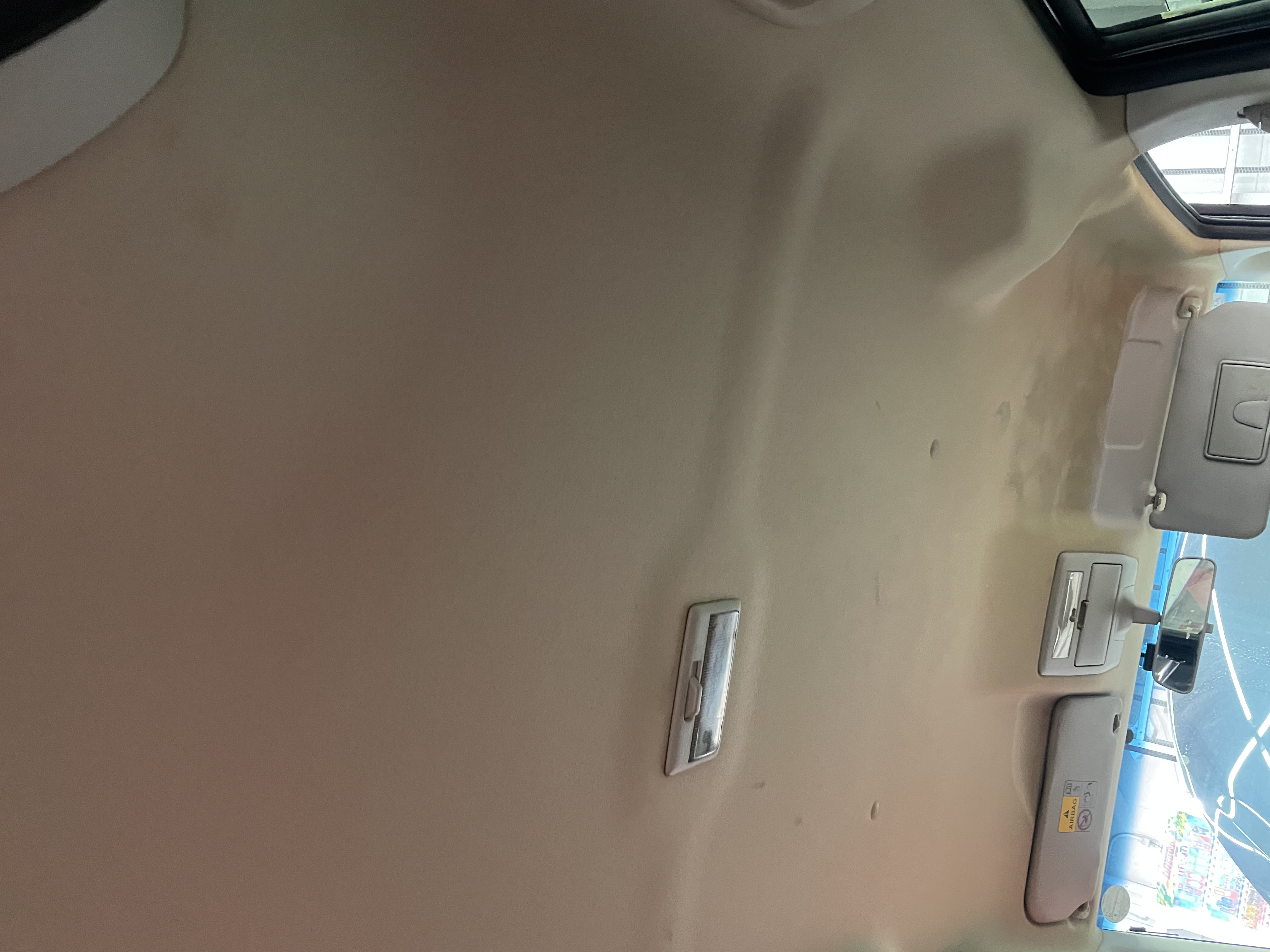 IMG_4708.jpeg?1769555647394