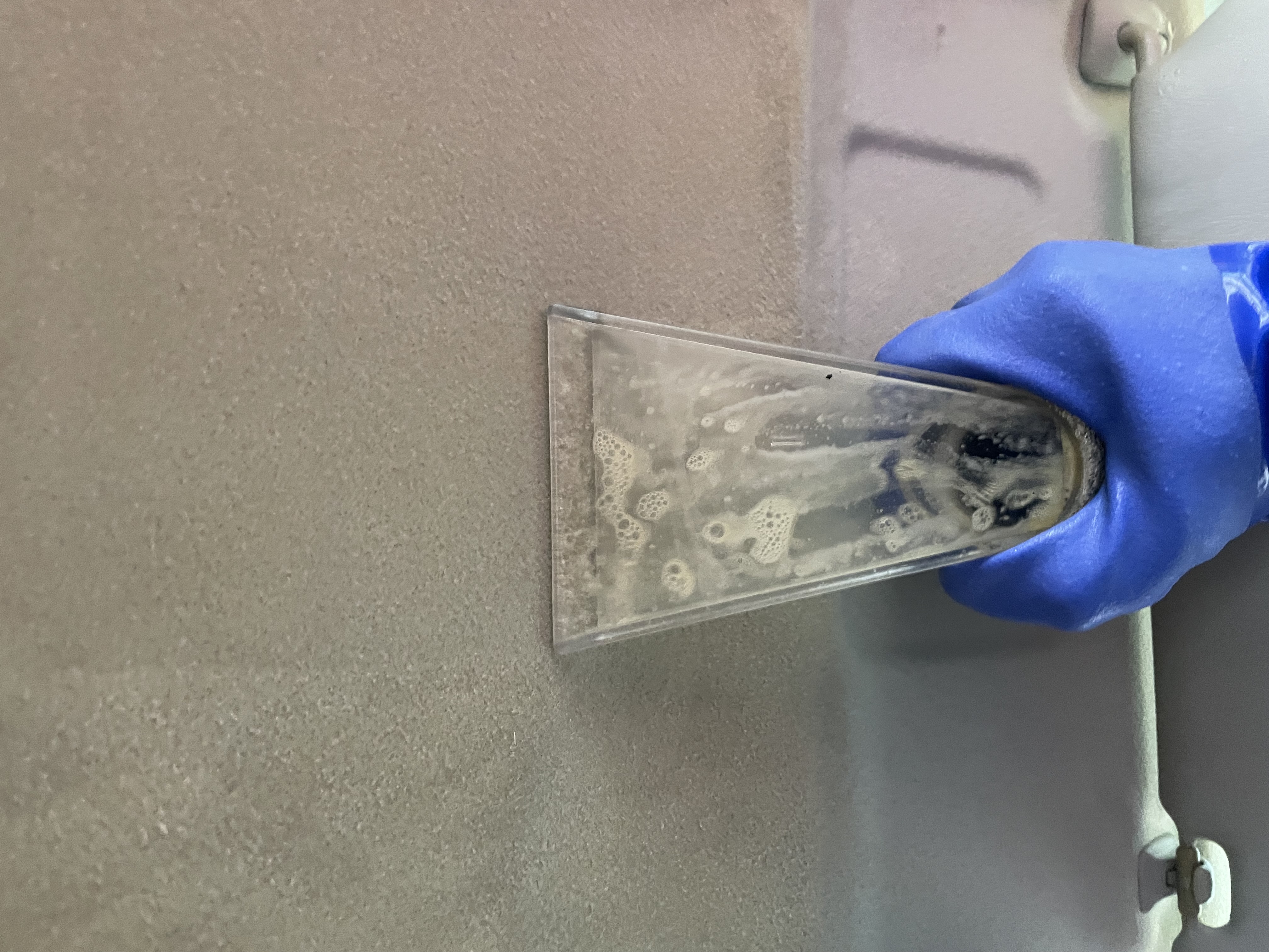 IMG_4710.jpeg?1769555732642