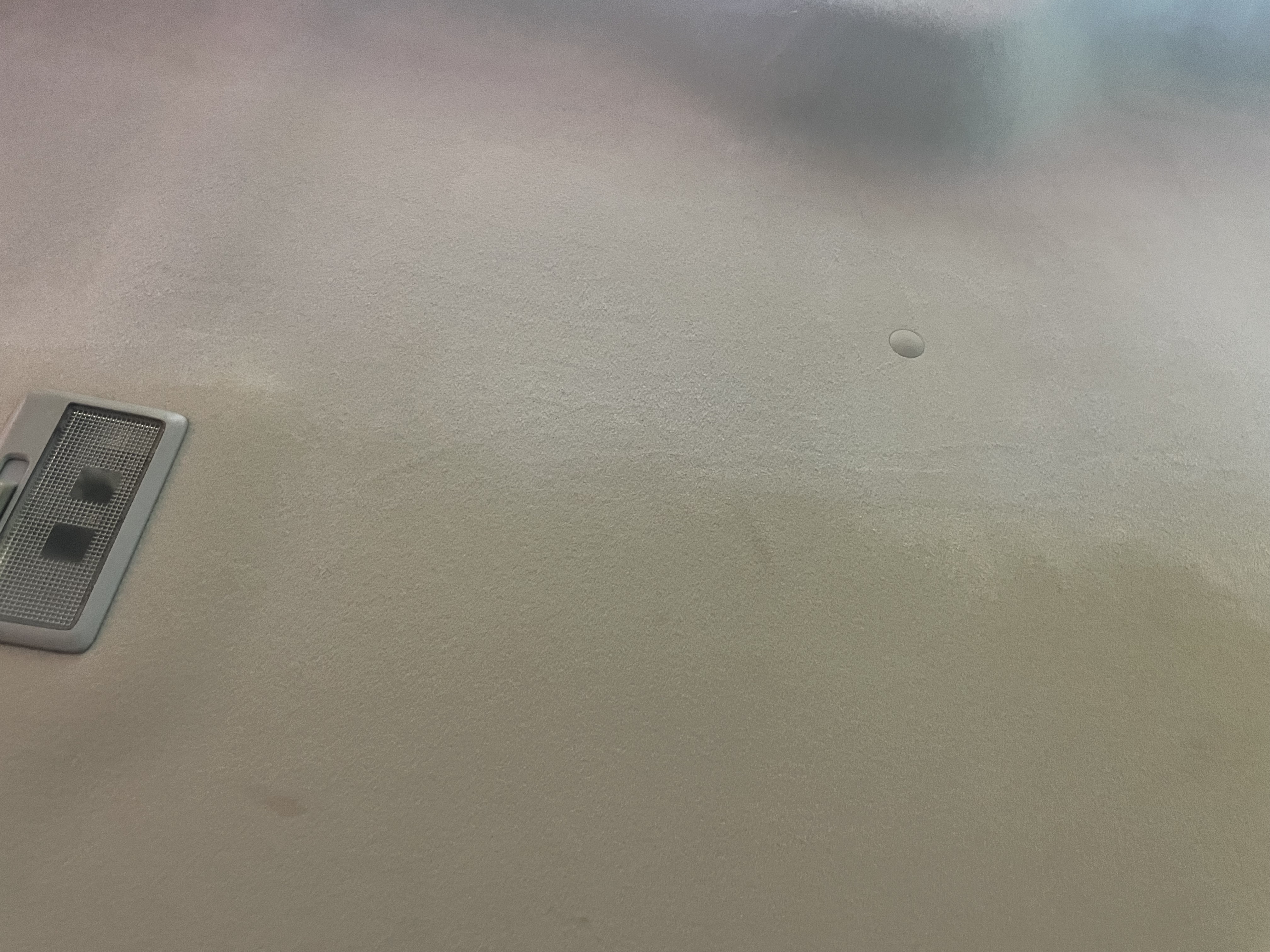 IMG_4714.jpeg?1769555942050