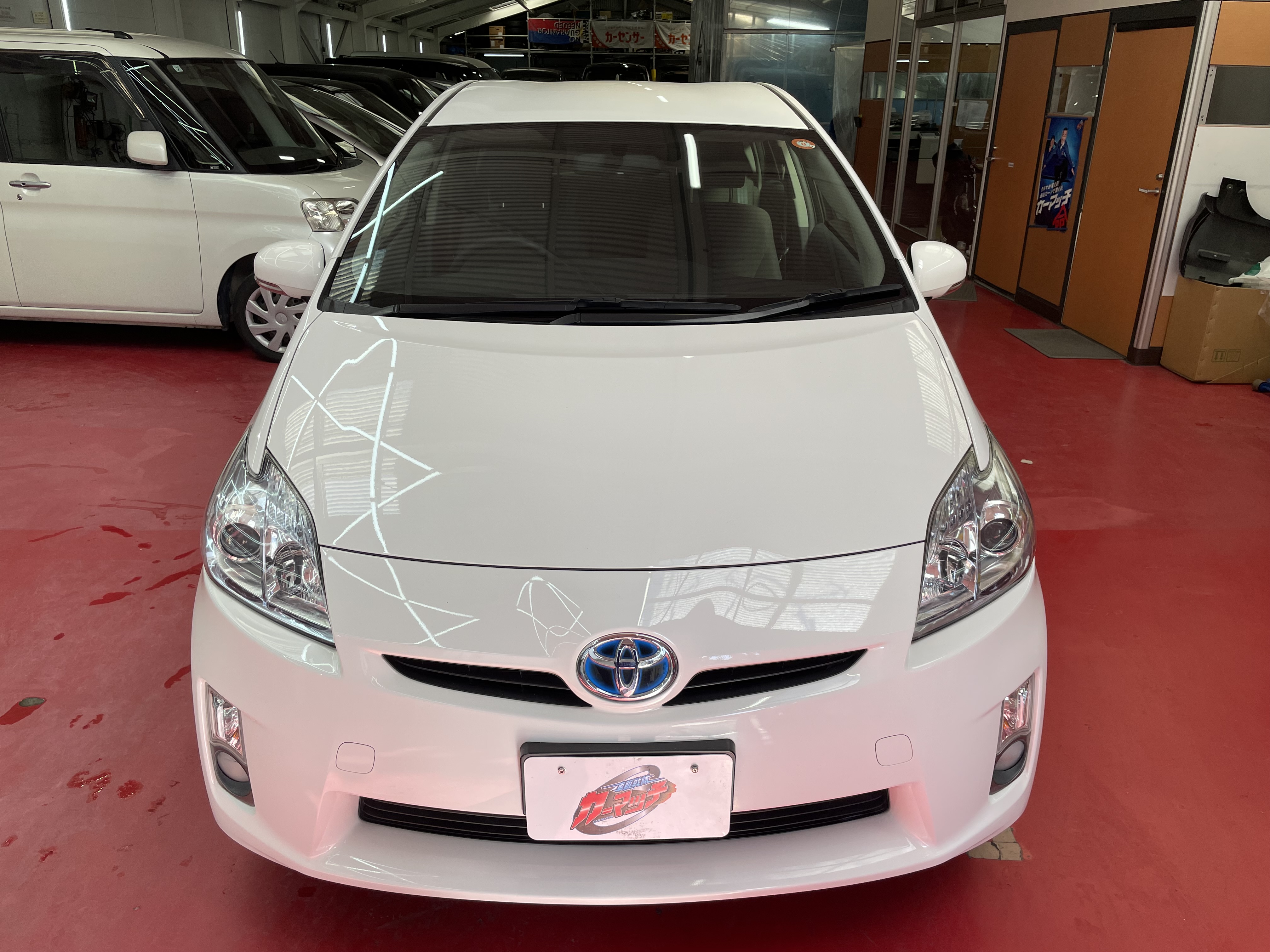 IMG_4800.jpeg?1769381413109