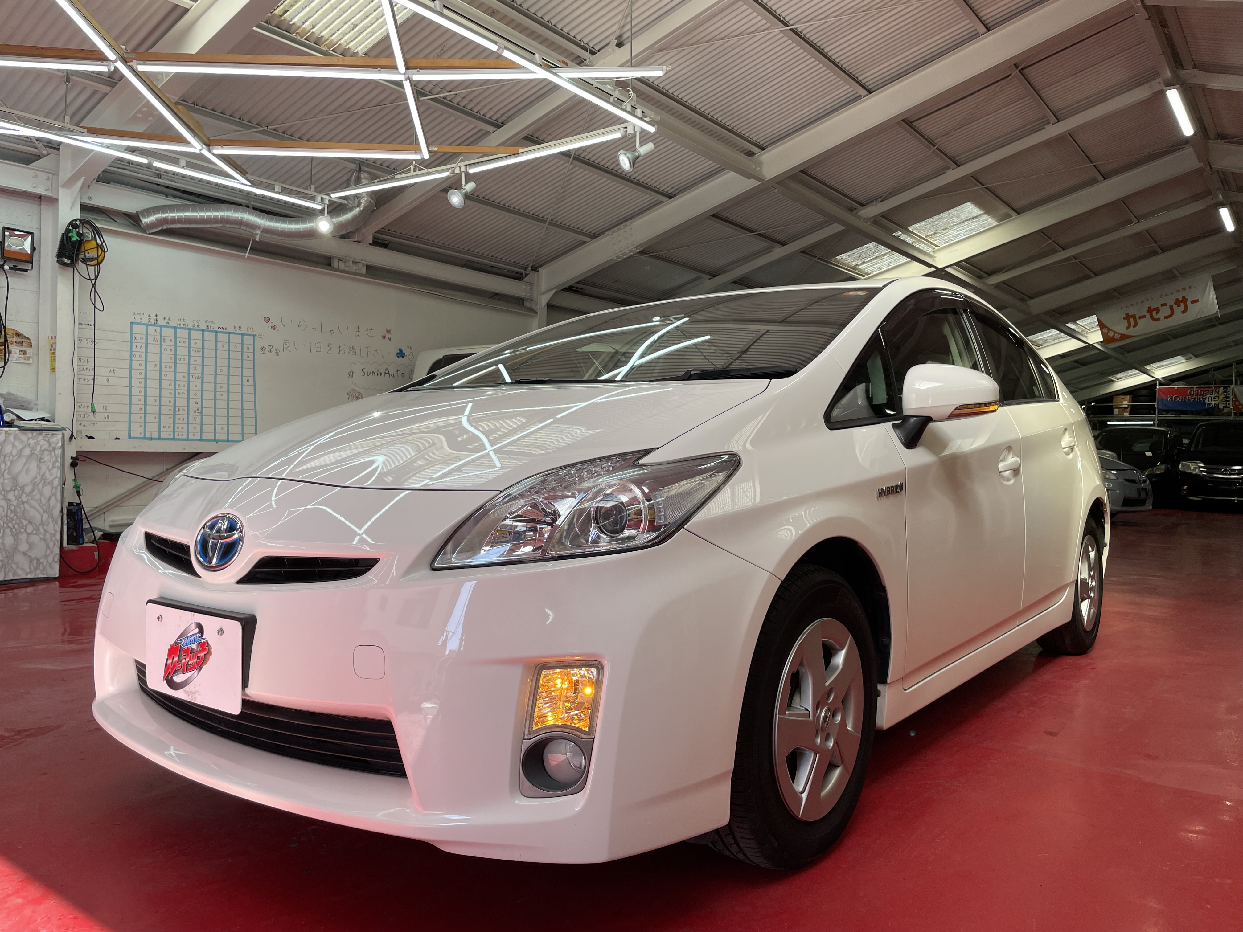 IMG_4809.jpeg?1769381513276