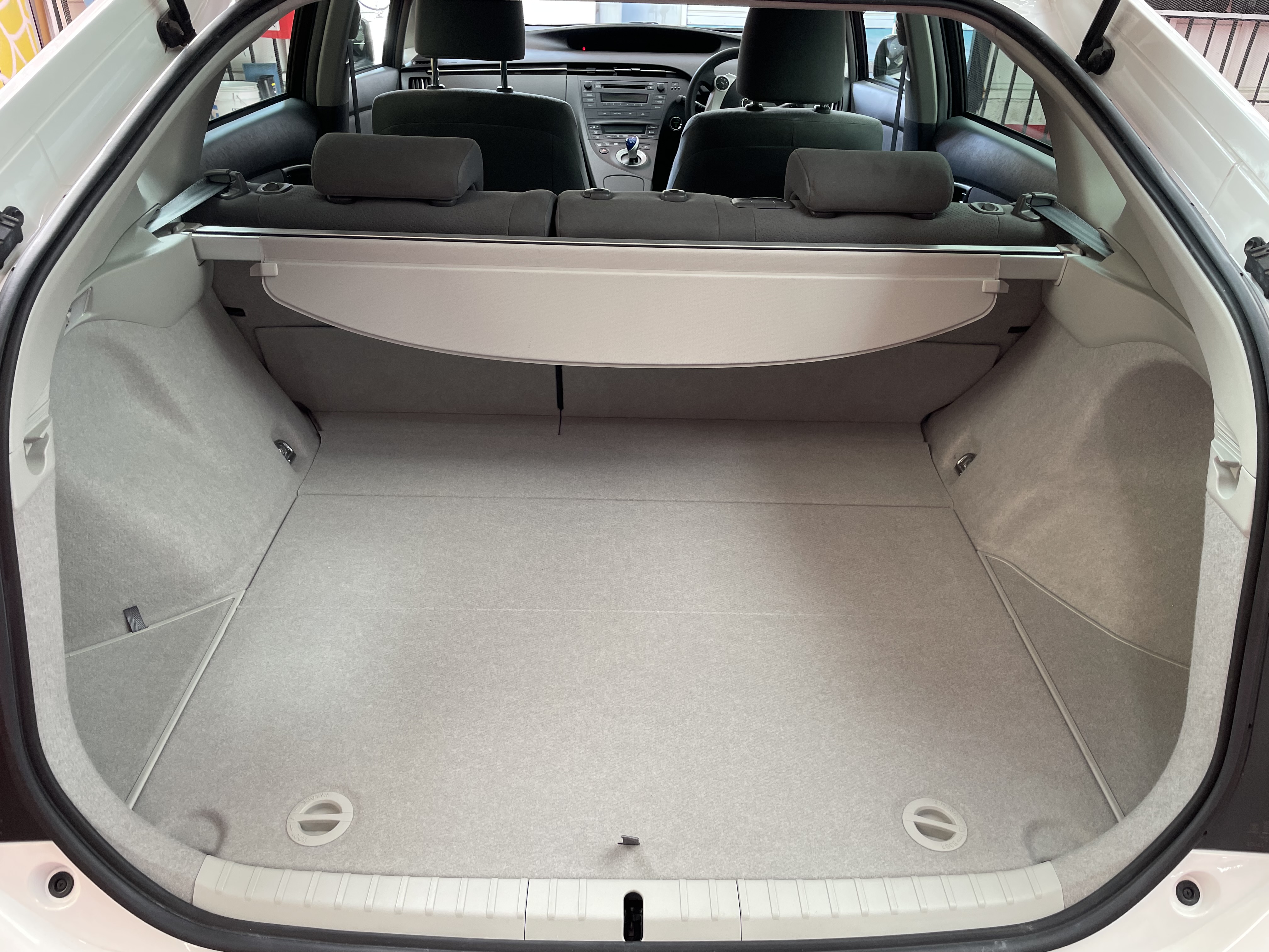 IMG_4819.jpeg?1769382035492