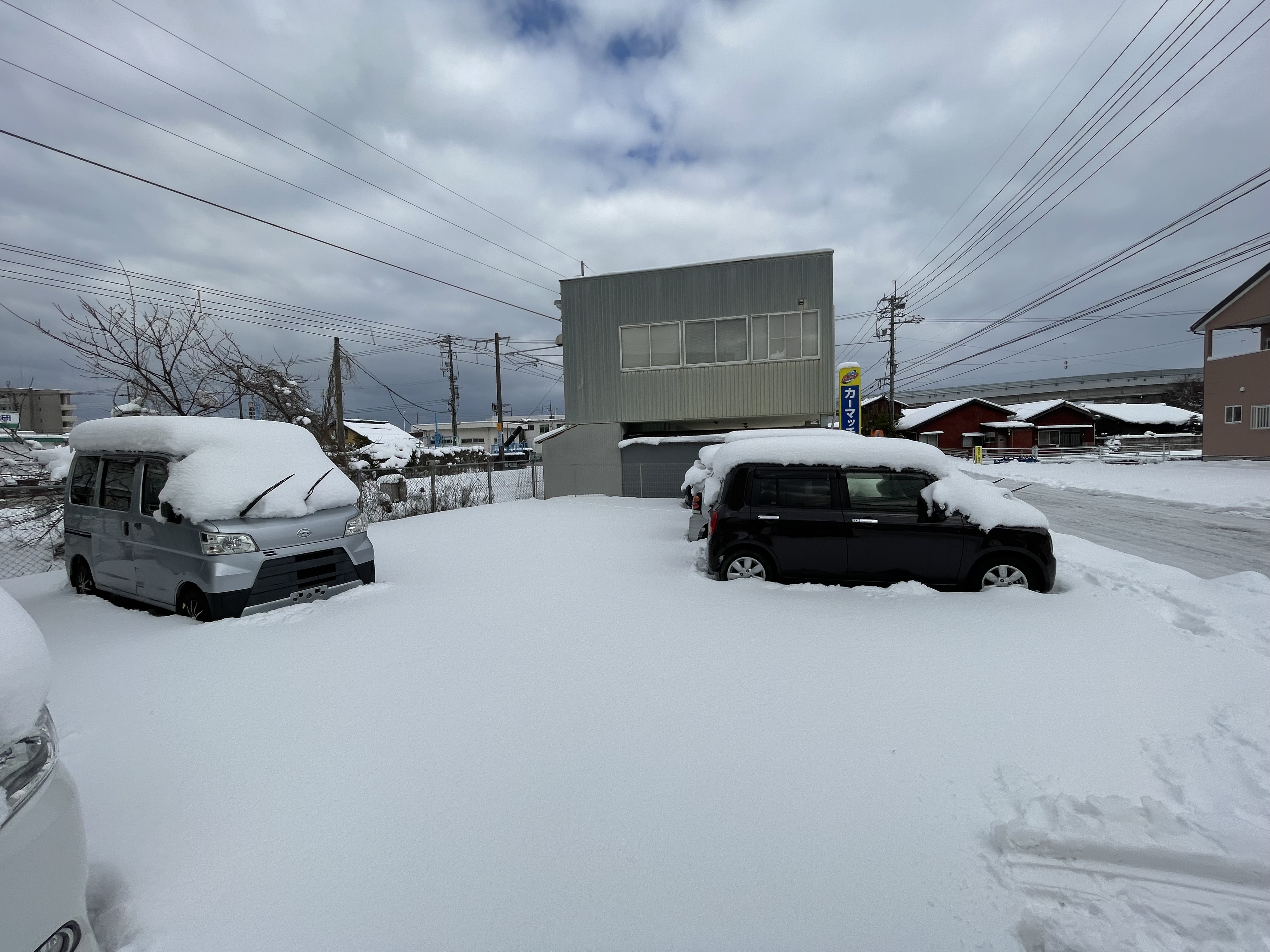 IMG_5513.jpeg?1770903141036