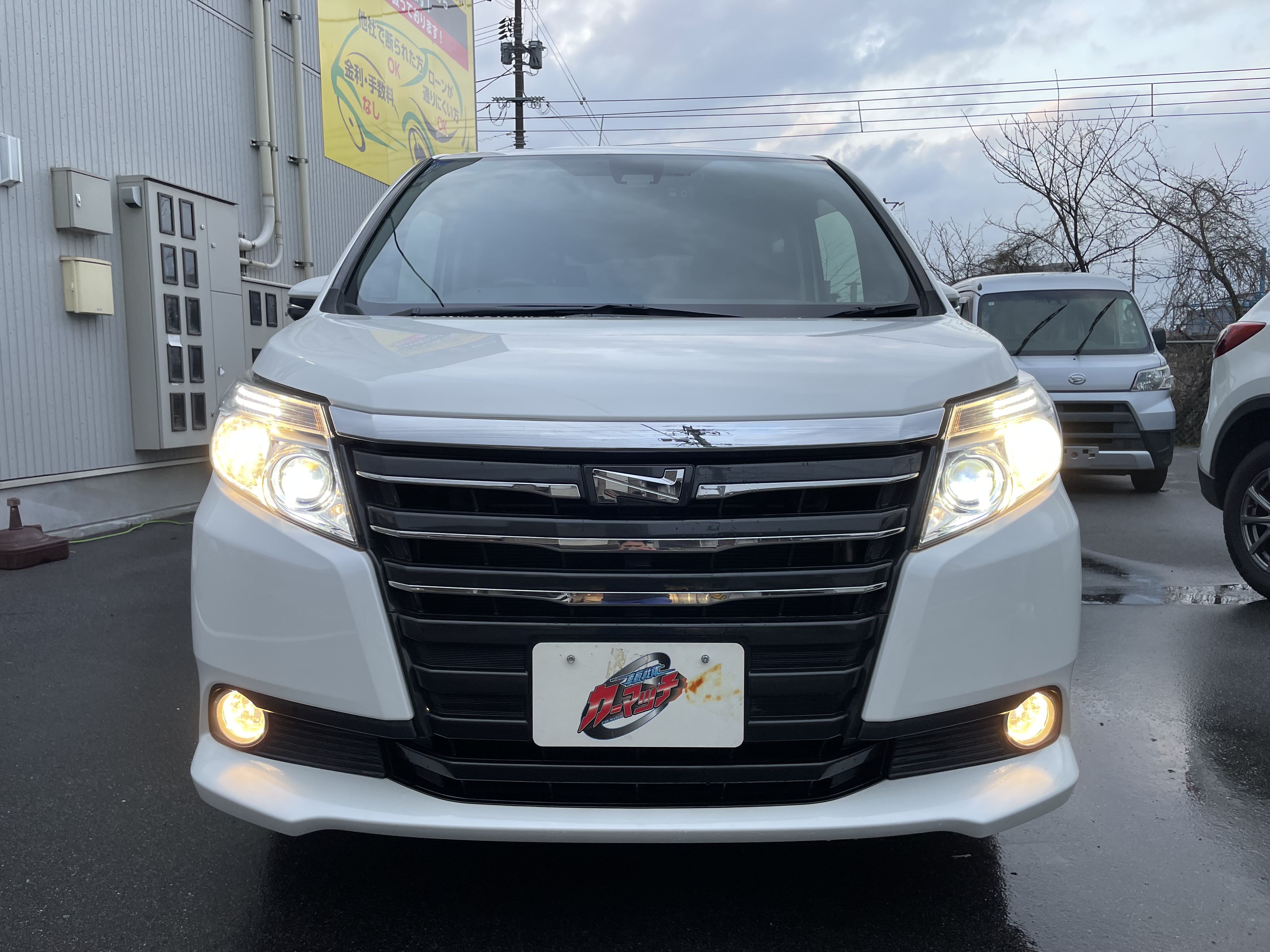 IMG_5431.jpeg?1770905437463