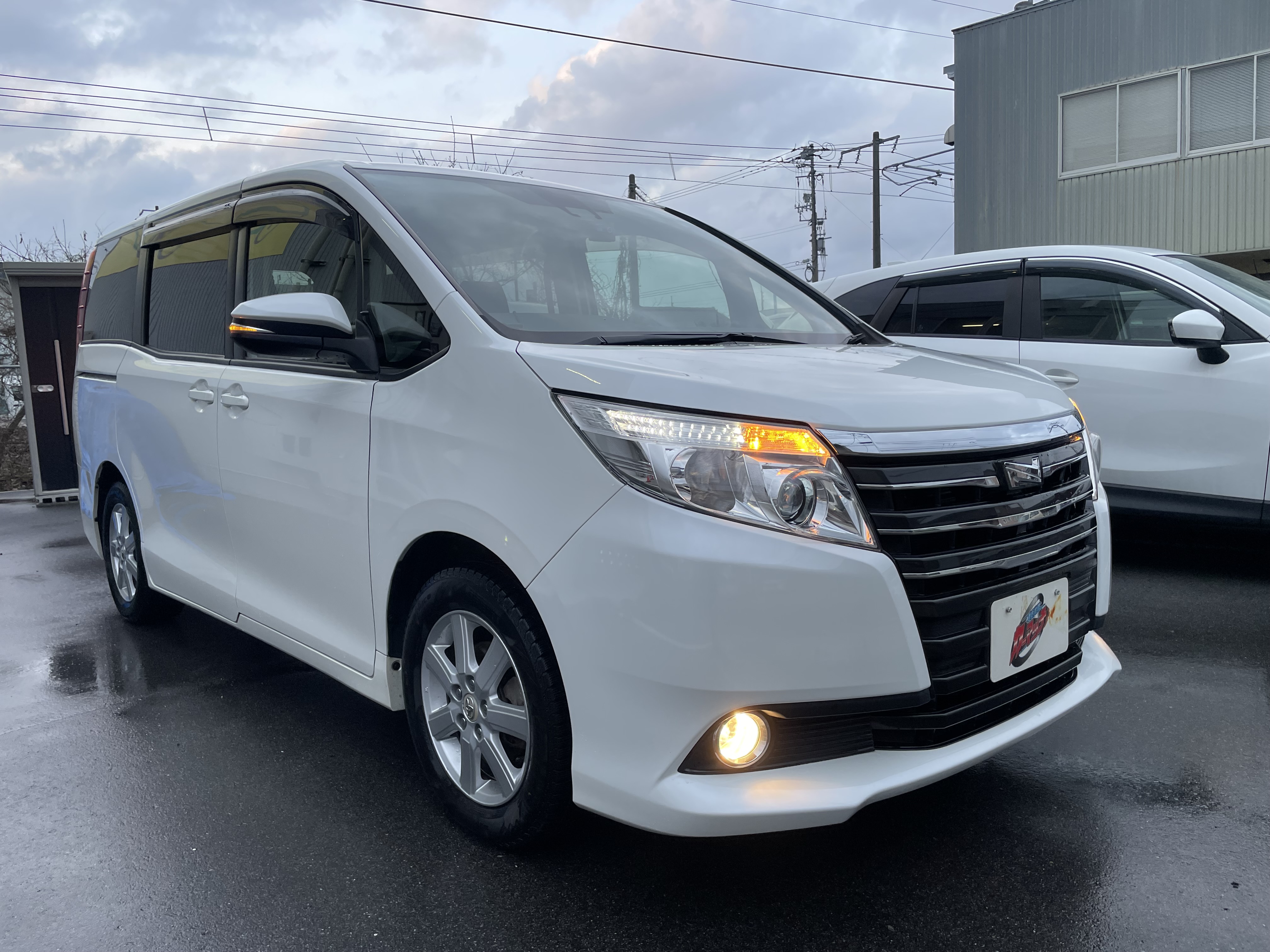 IMG_5432.jpeg?1770905320517