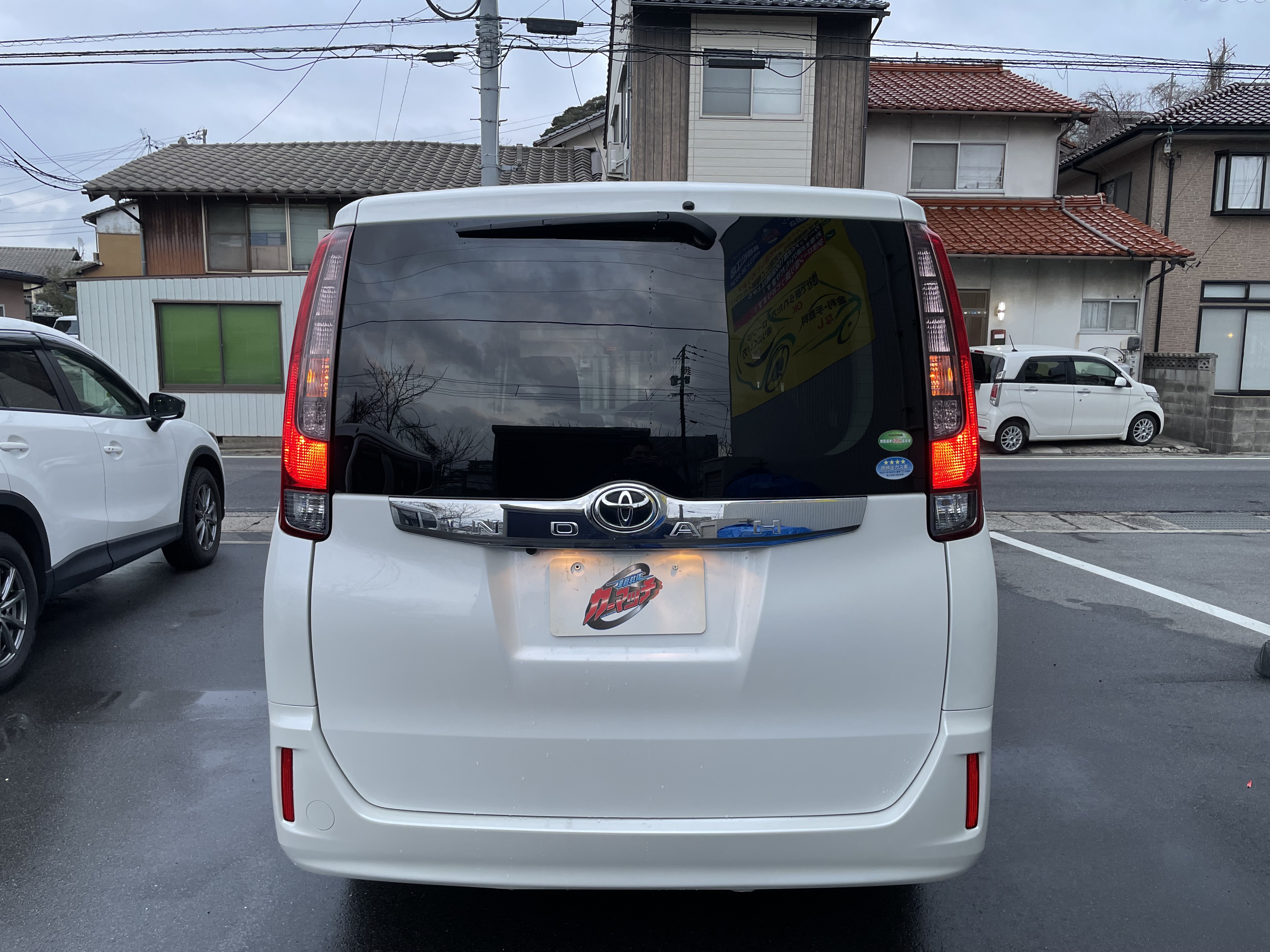 IMG_5435.jpeg?1770905606329