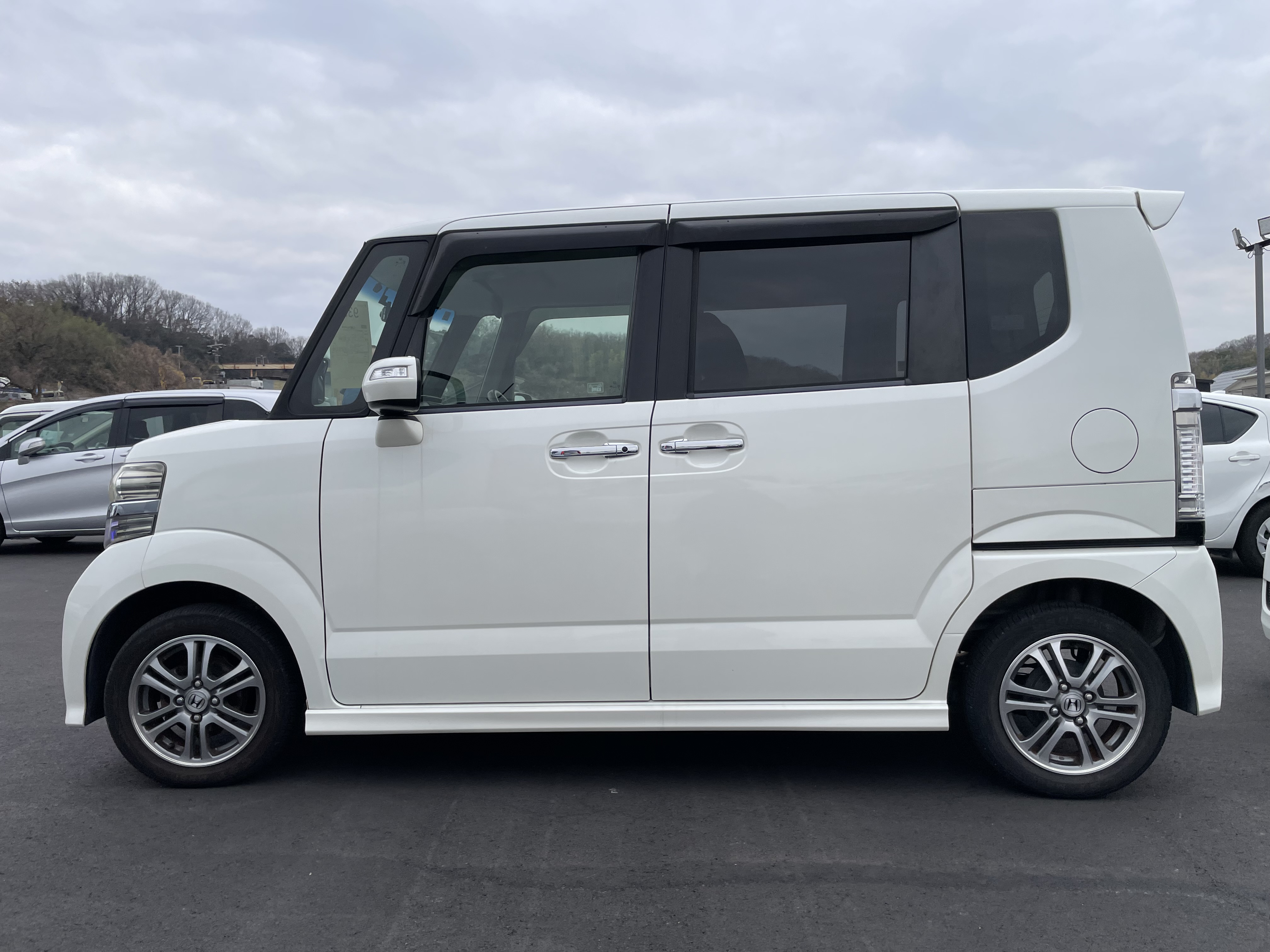 IMG_5547.jpeg?1771026087536