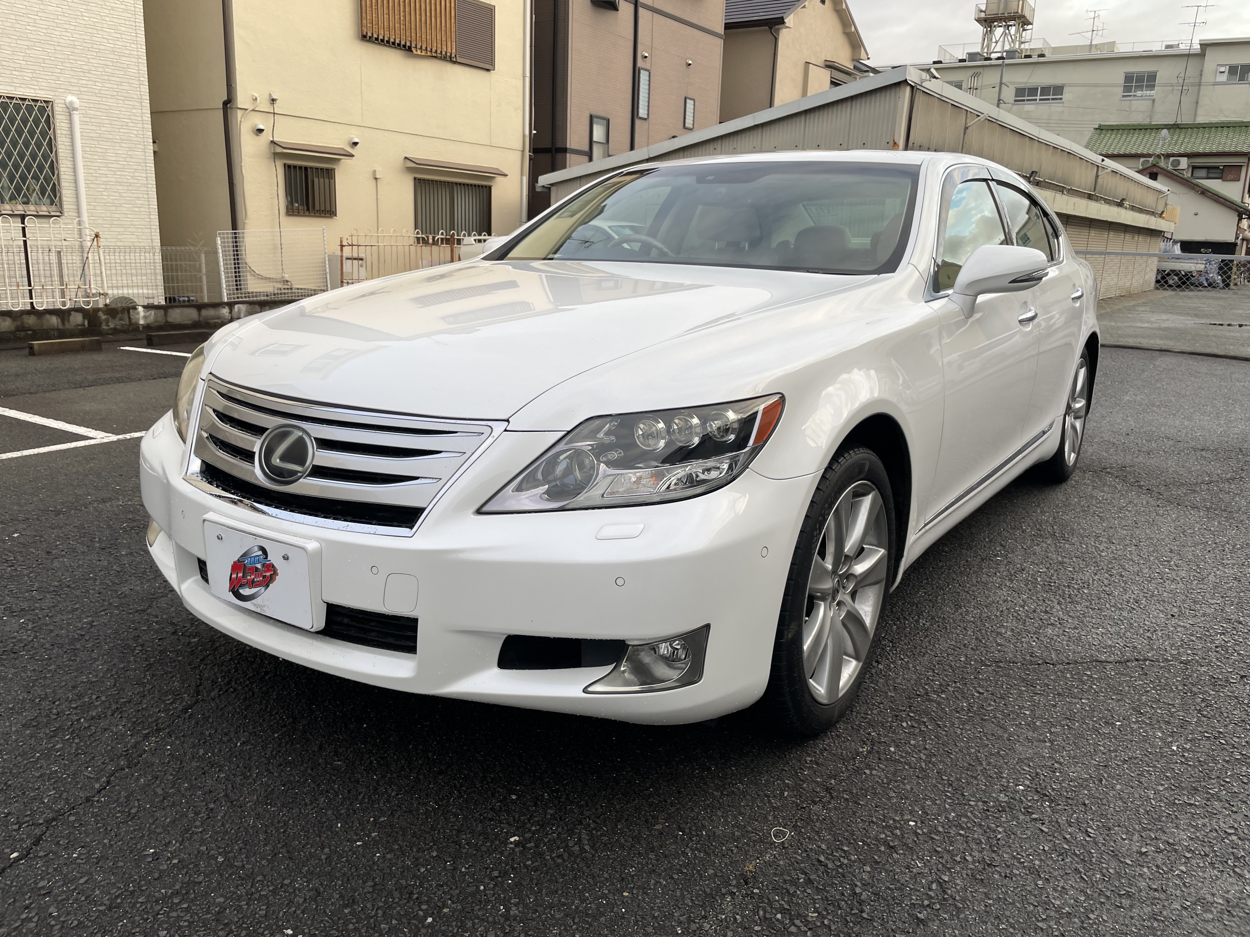 IMG_6016.jpeg?1772362261511