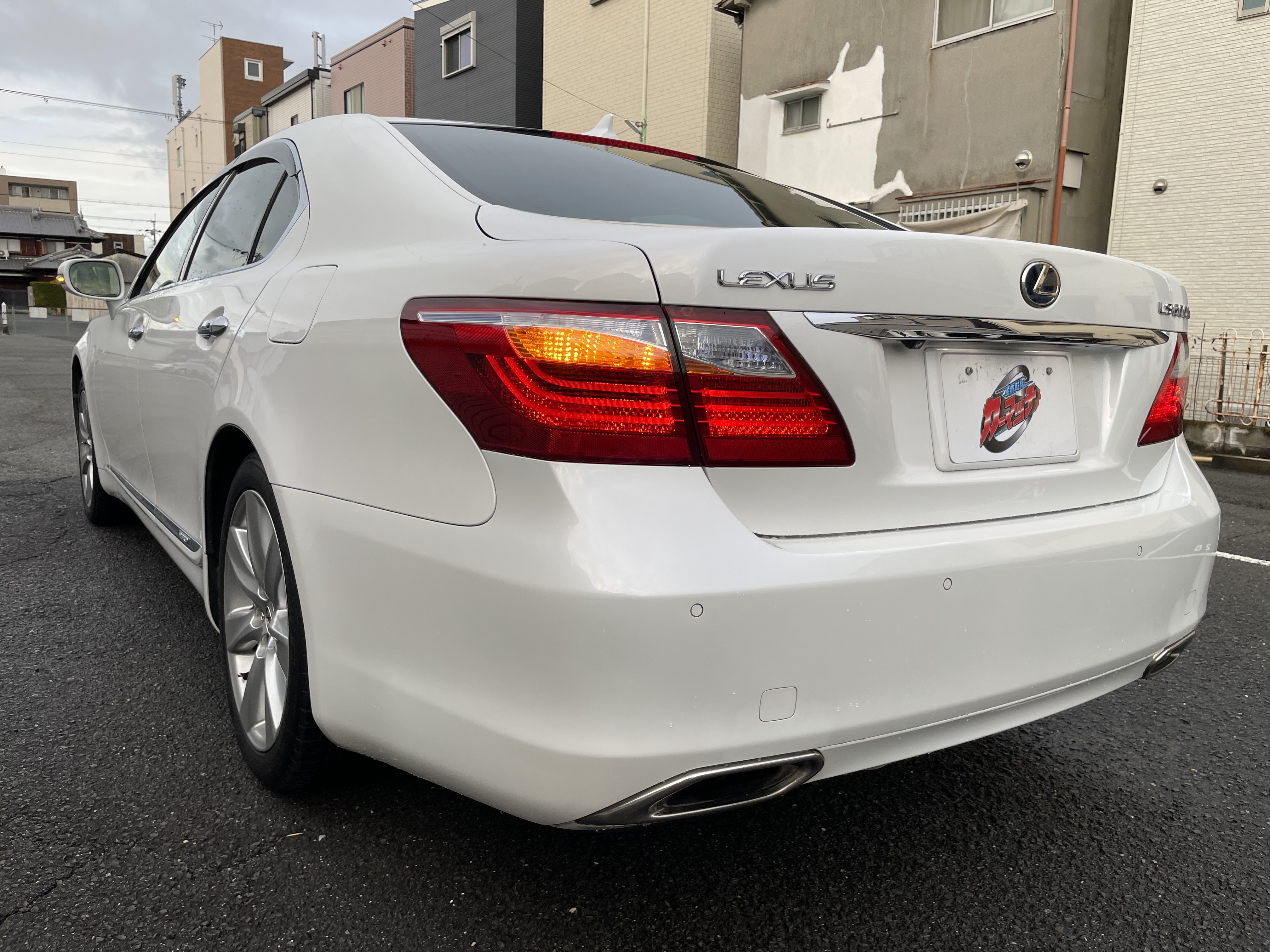 IMG_6032.jpeg?1772362398086