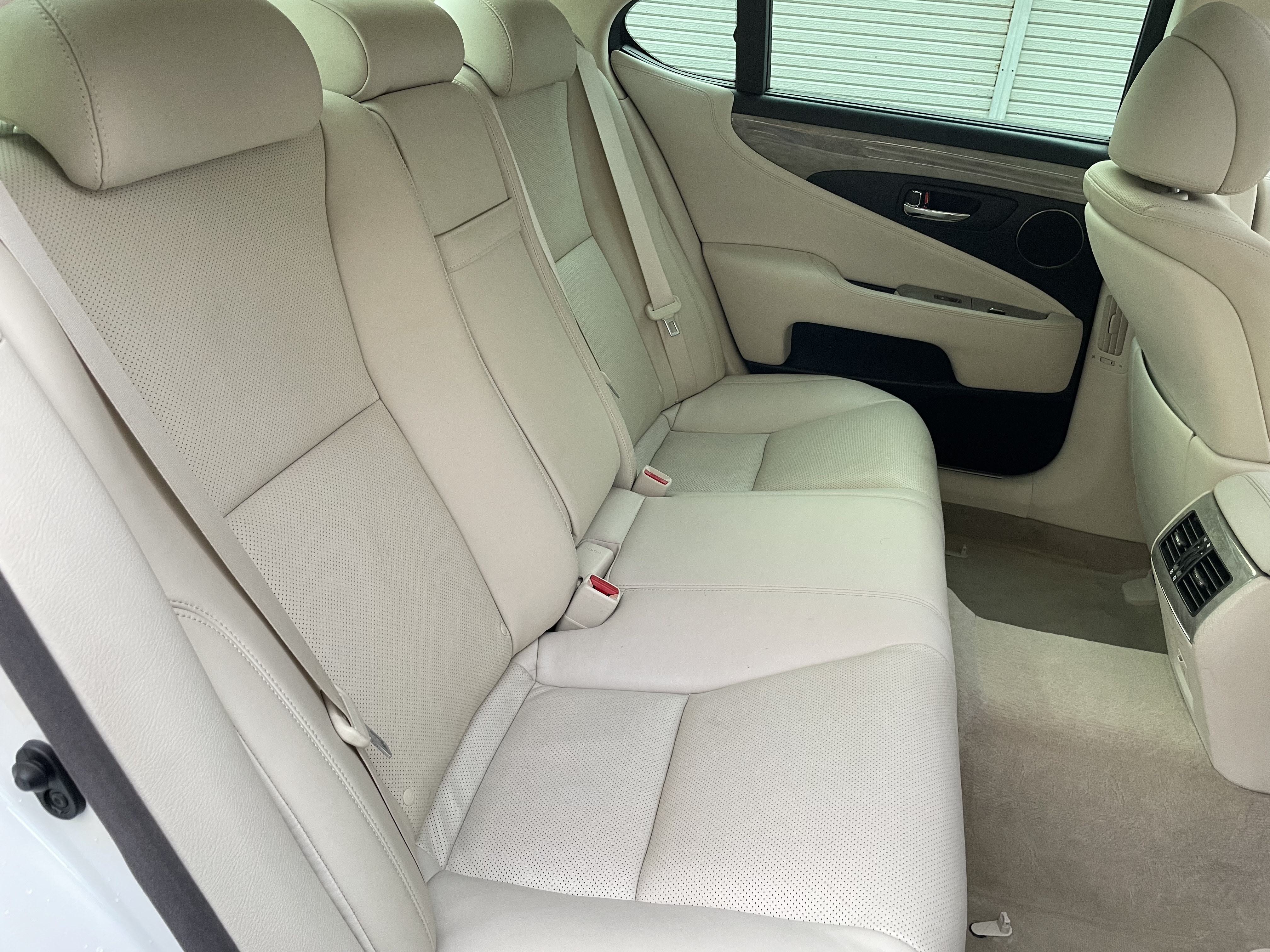 IMG_6042.jpeg?1772499094123