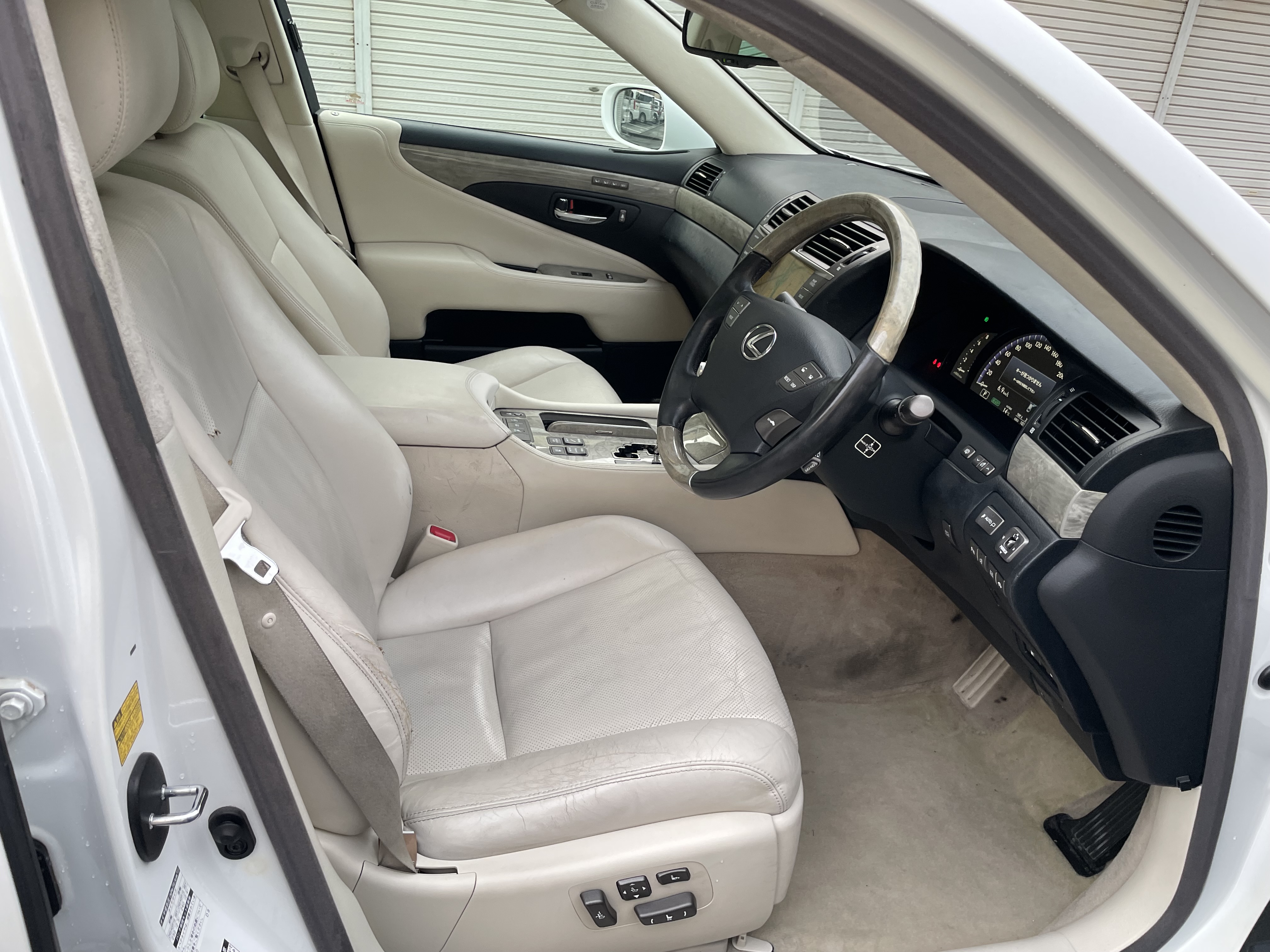 IMG_6048.jpeg?1772499051308