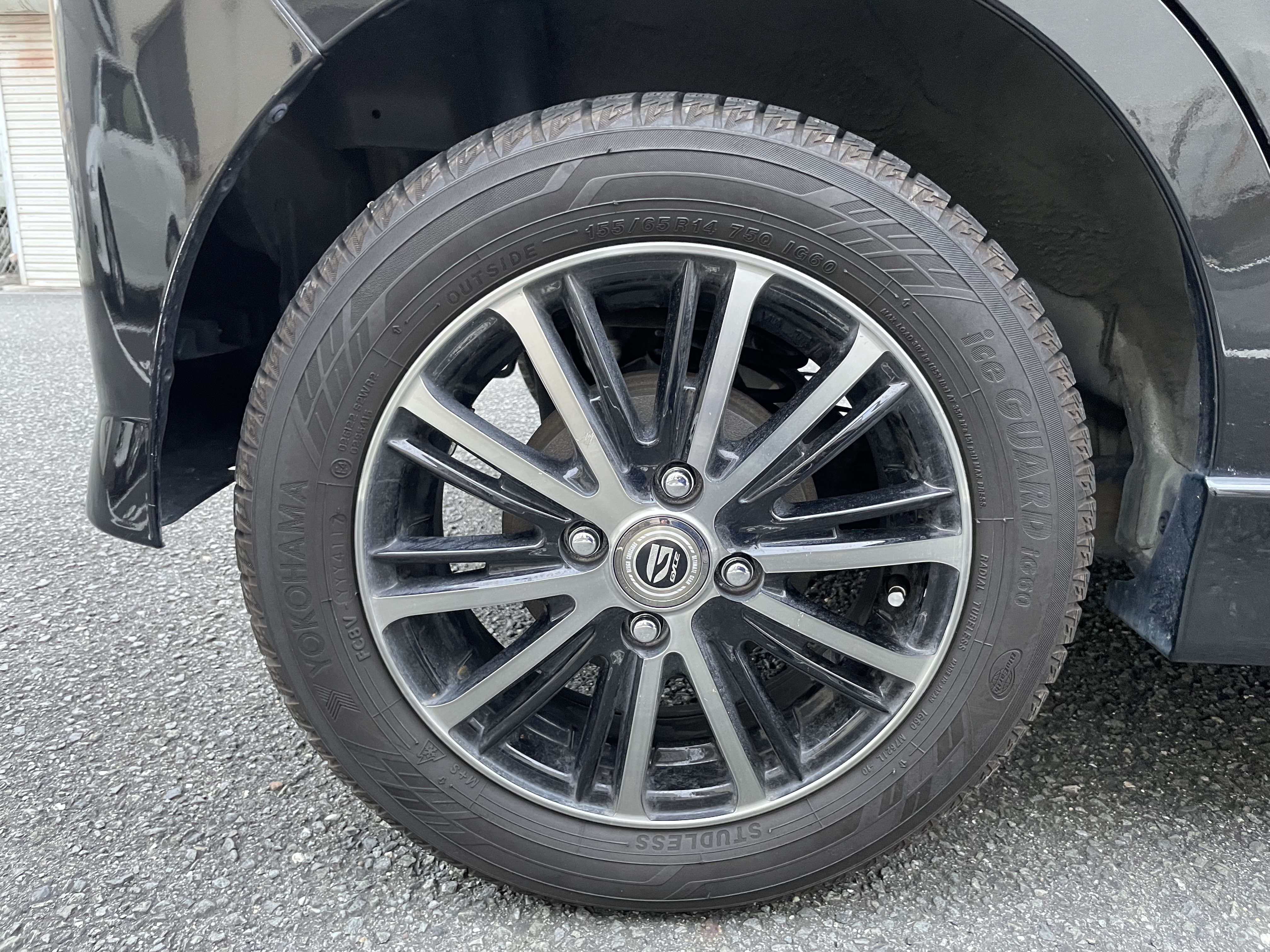 IMG_6123.jpeg?1773011600234