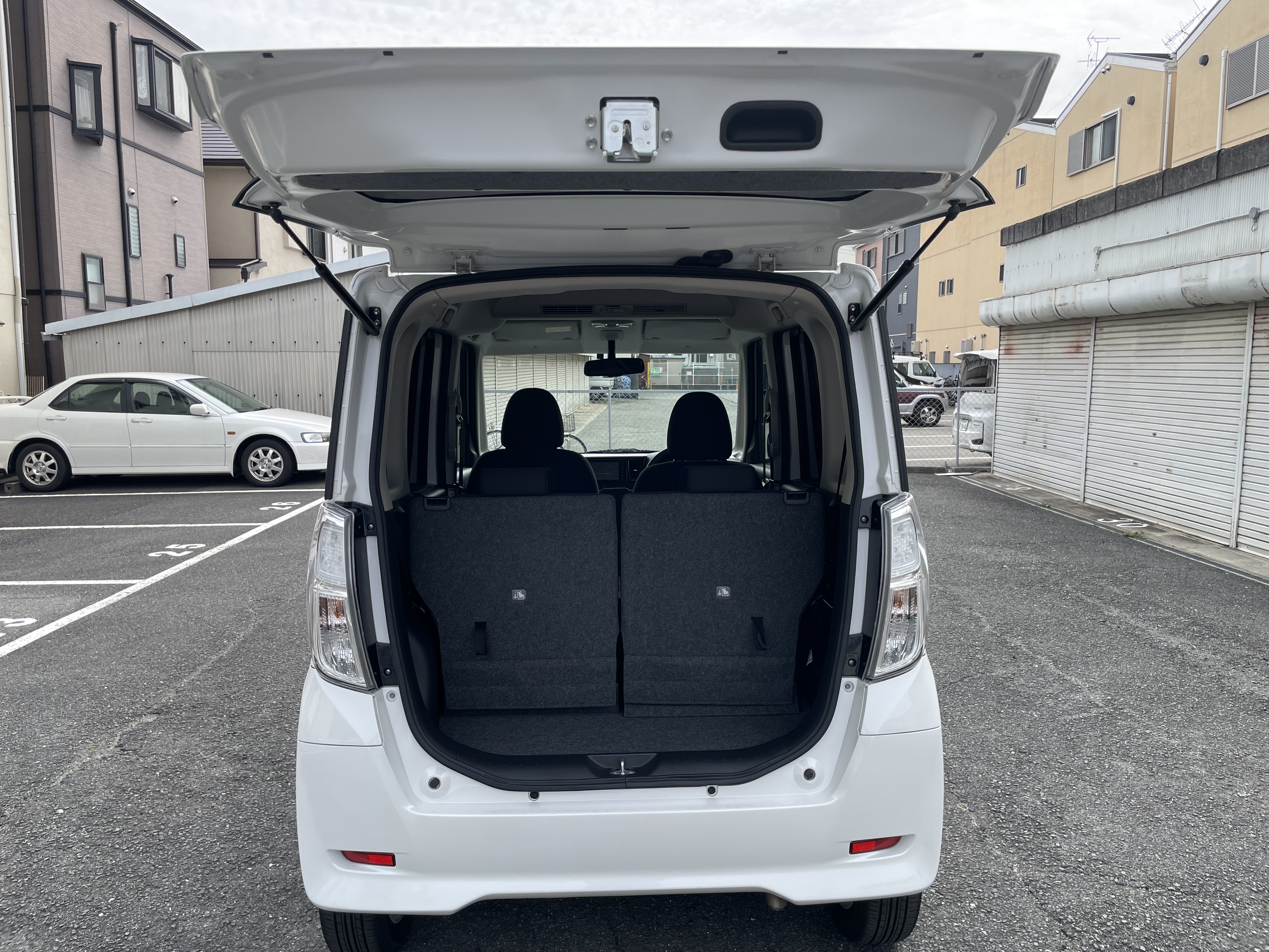 IMG_6247.jpeg?1772839159831