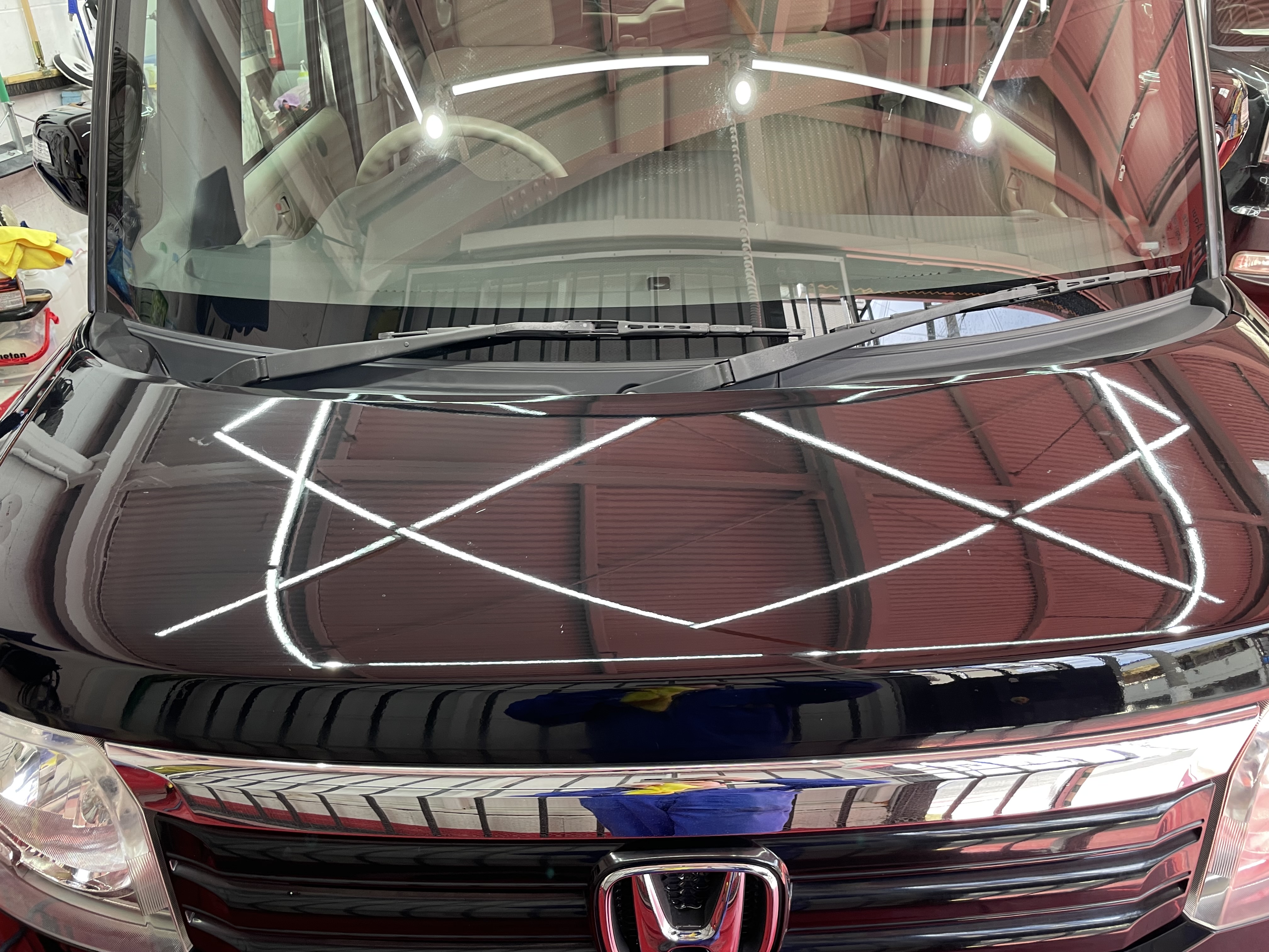 IMG_6514.jpeg?1773185241083