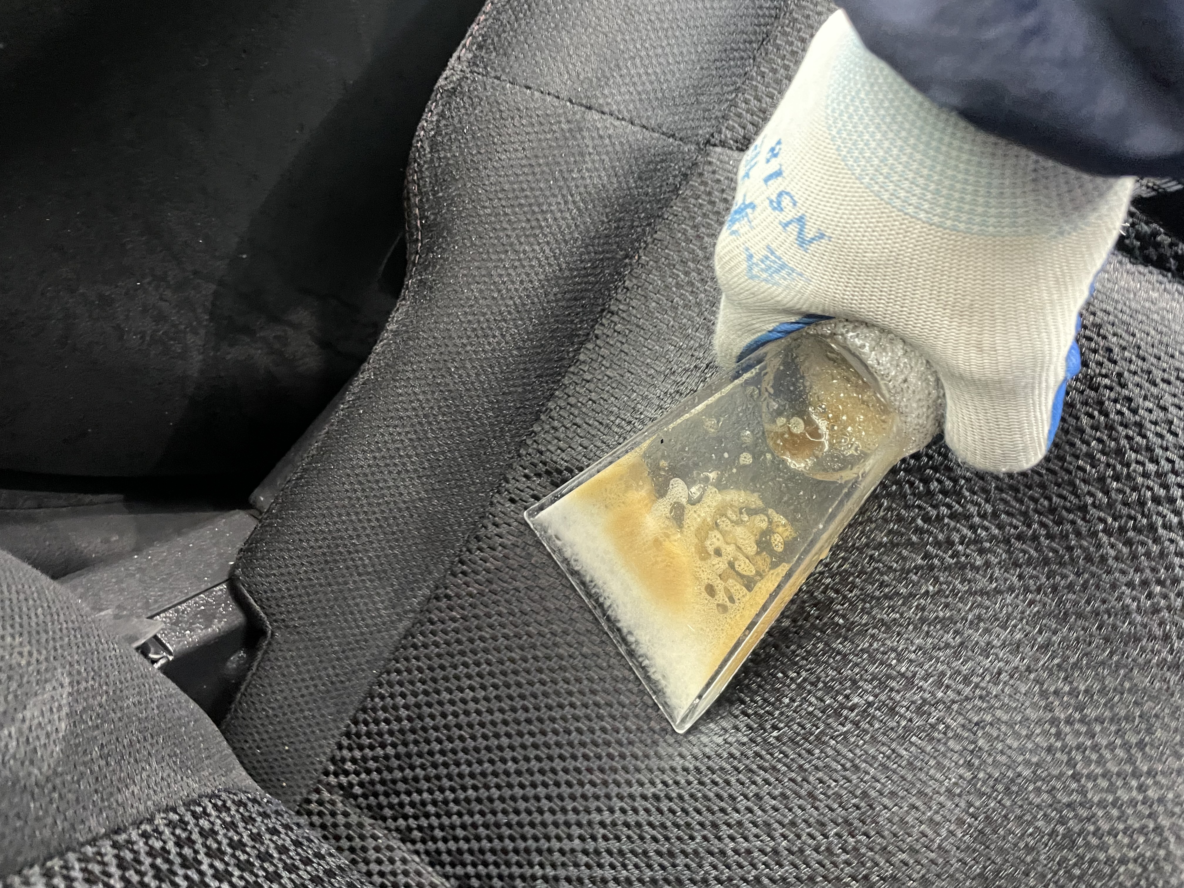 IMG_6810.jpeg?1773444657999