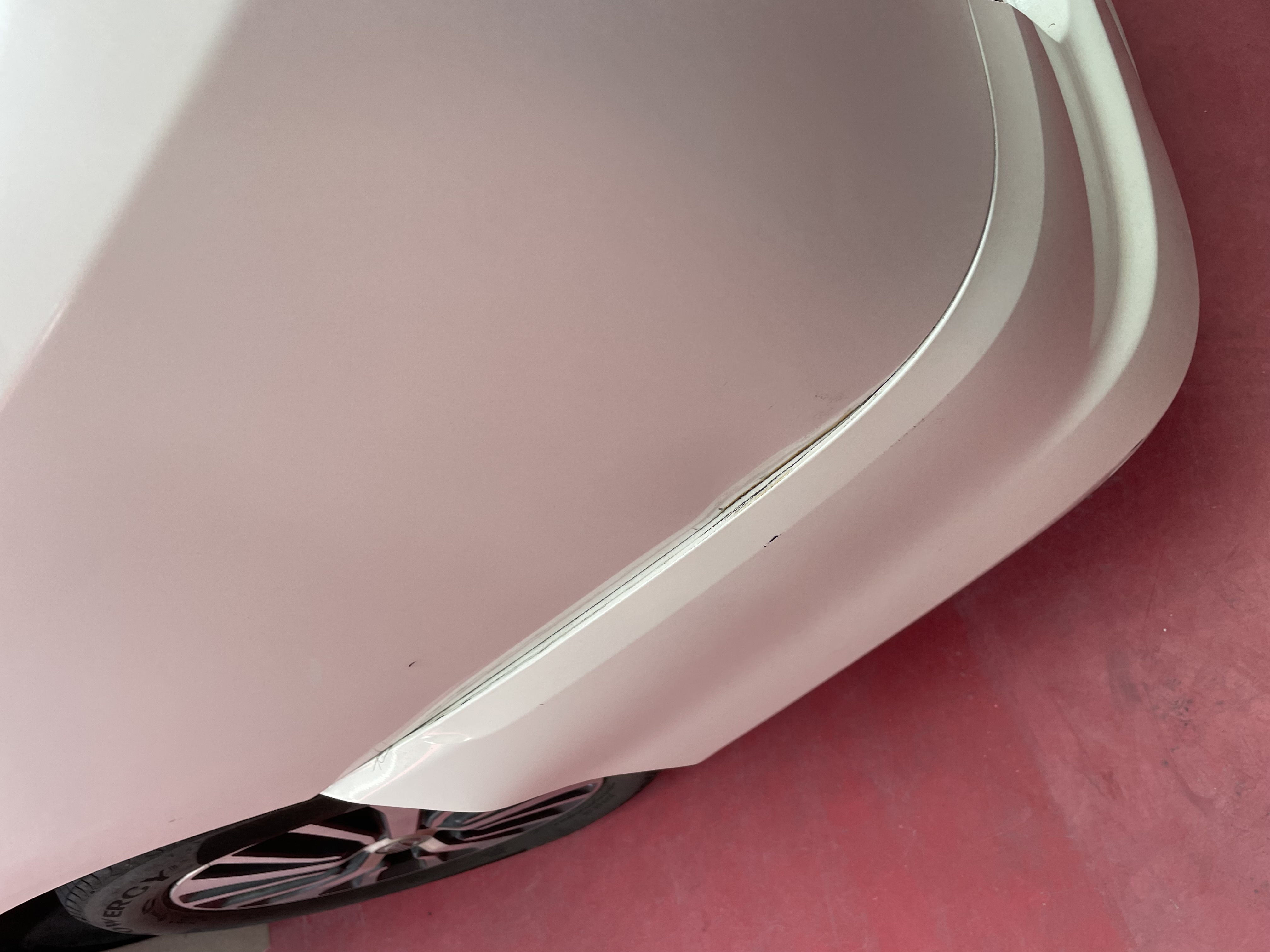 IMG_6829.jpeg?1774309125906