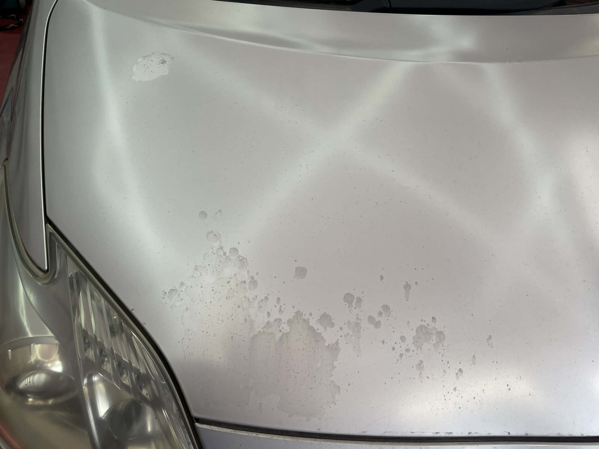 att.vm16W5RW7XQARirp_wNFyyPNAZ5jtNKvnfds