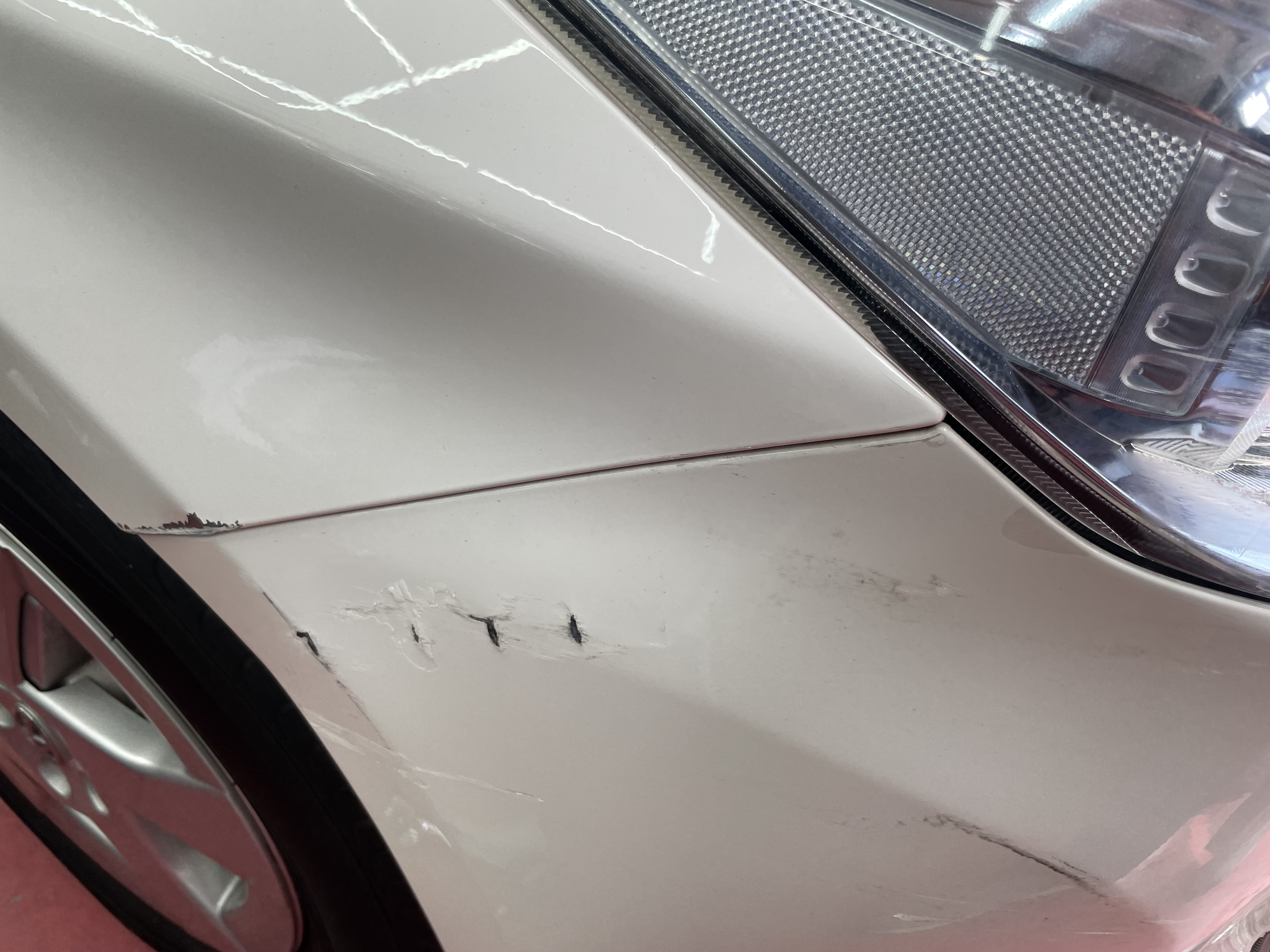 IMG_7261.jpeg?1774826701631