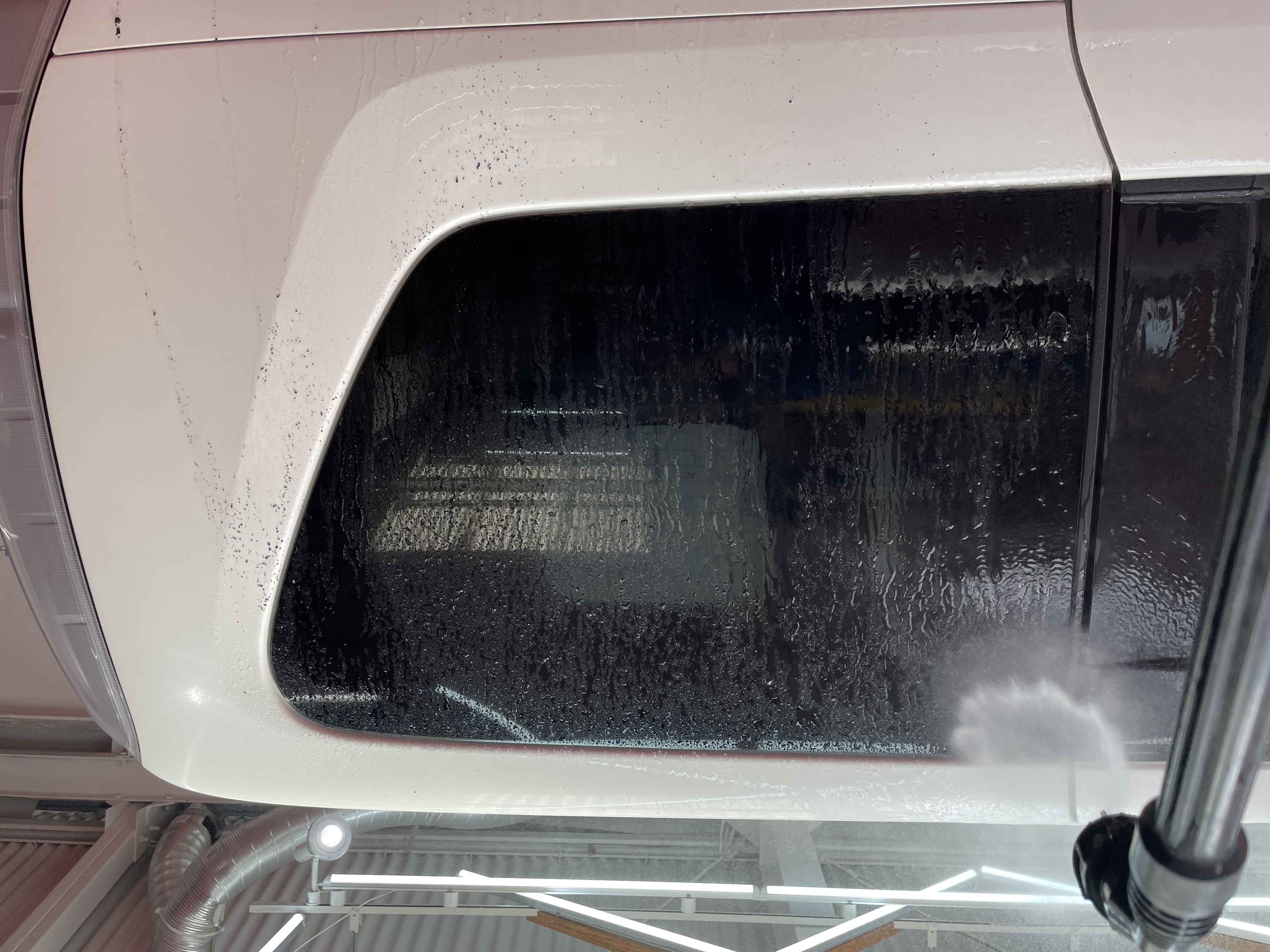 IMG_6890.jpeg?1776243632617