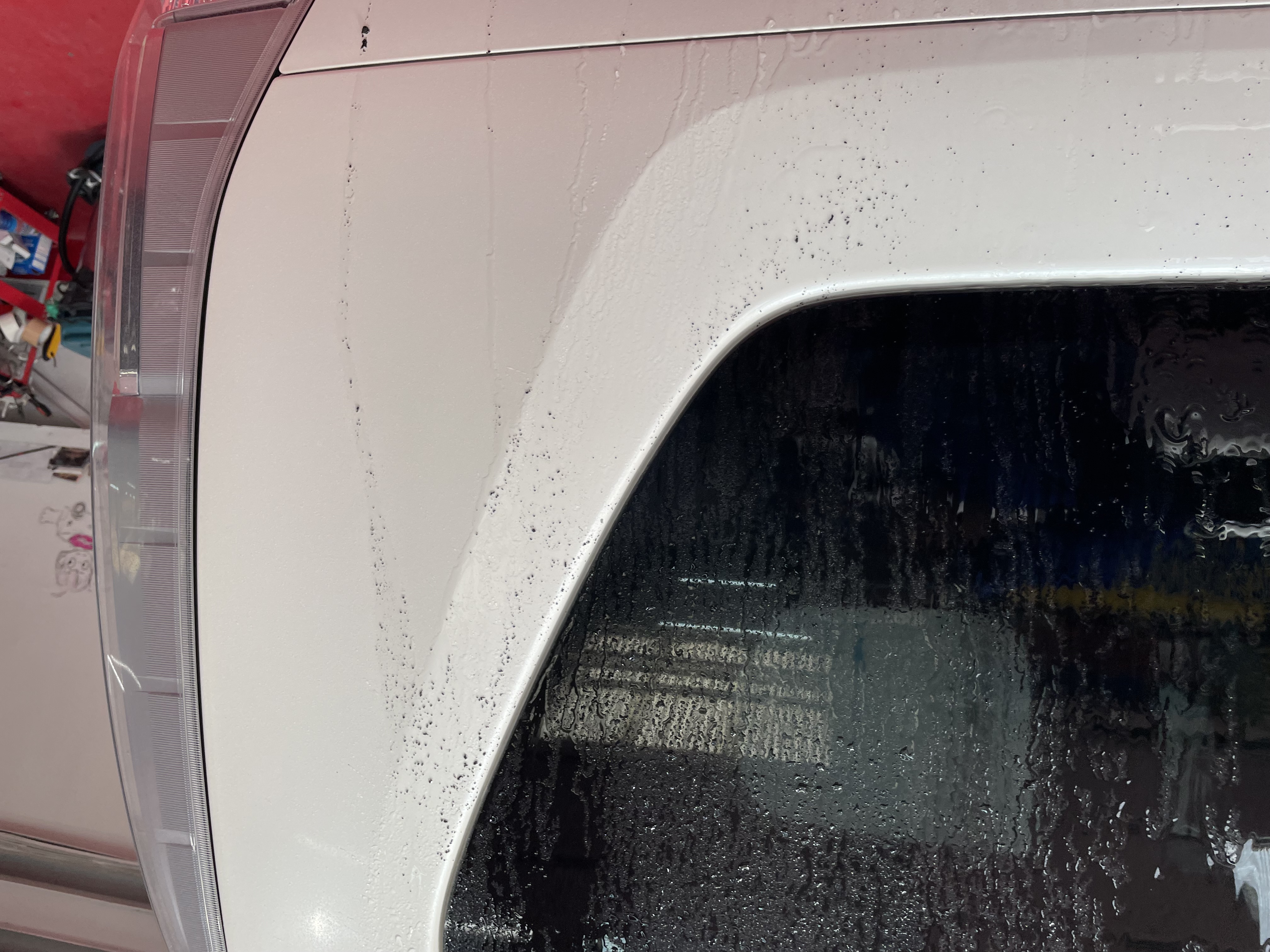 IMG_6891.jpeg?1776243685321