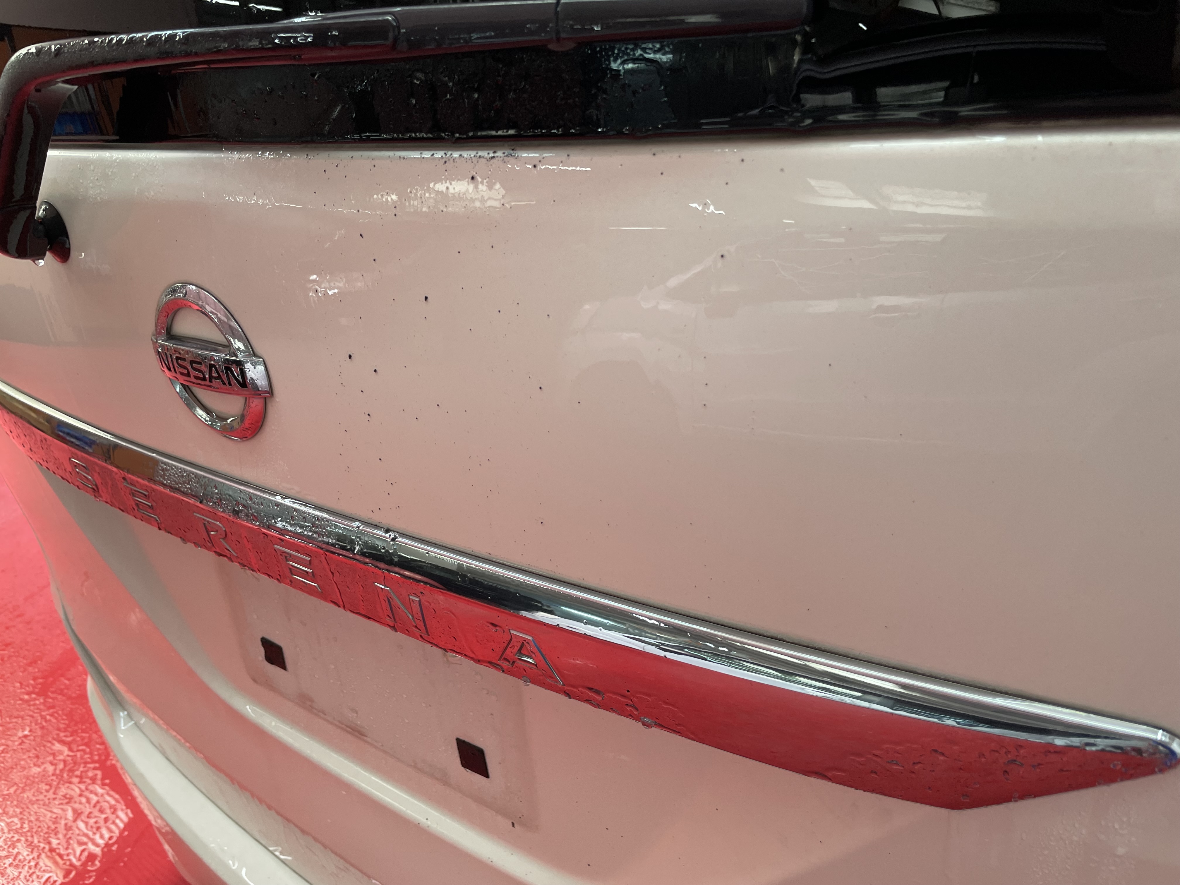 IMG_6893.jpeg?1776244906308