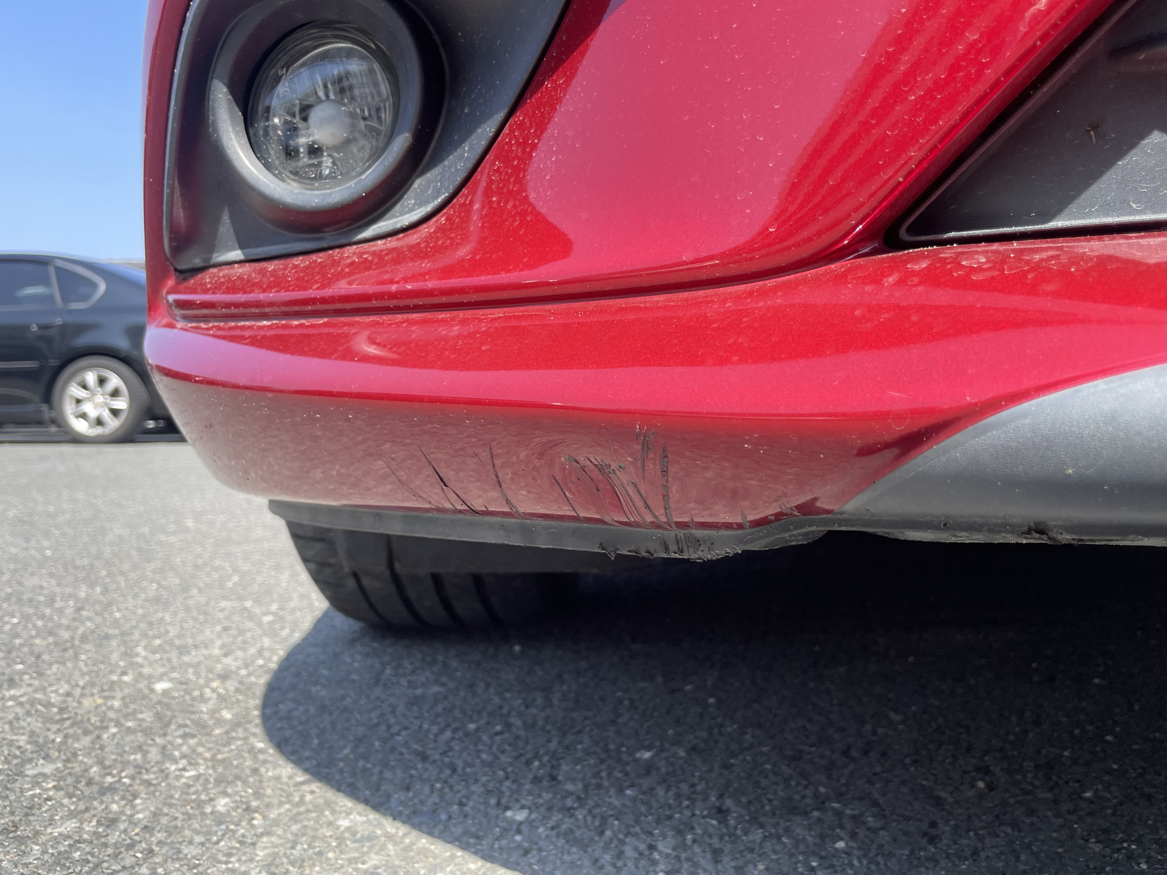 IMG_7486.jpeg?1775862835467