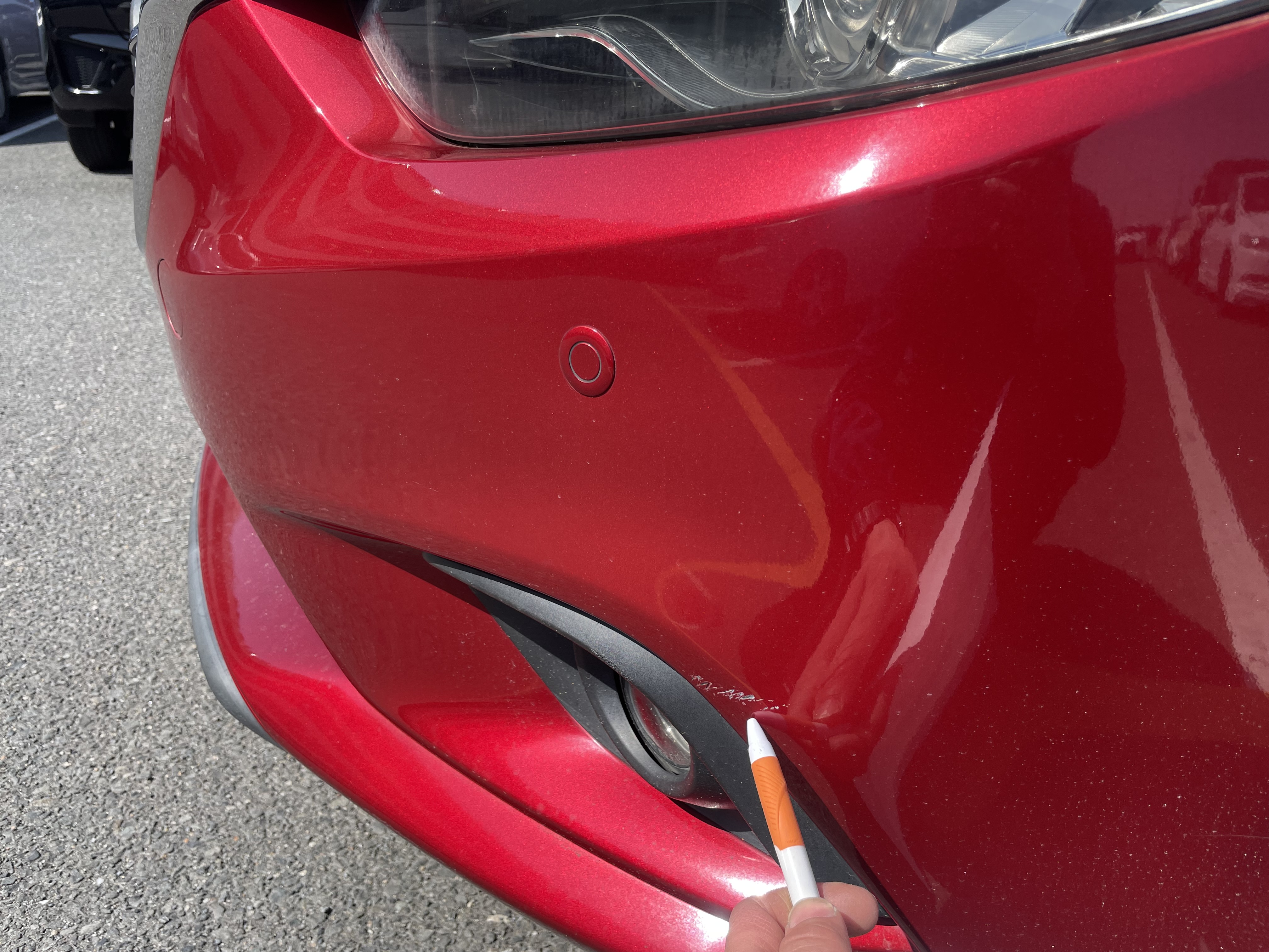 IMG_7489.jpeg?1775862856405