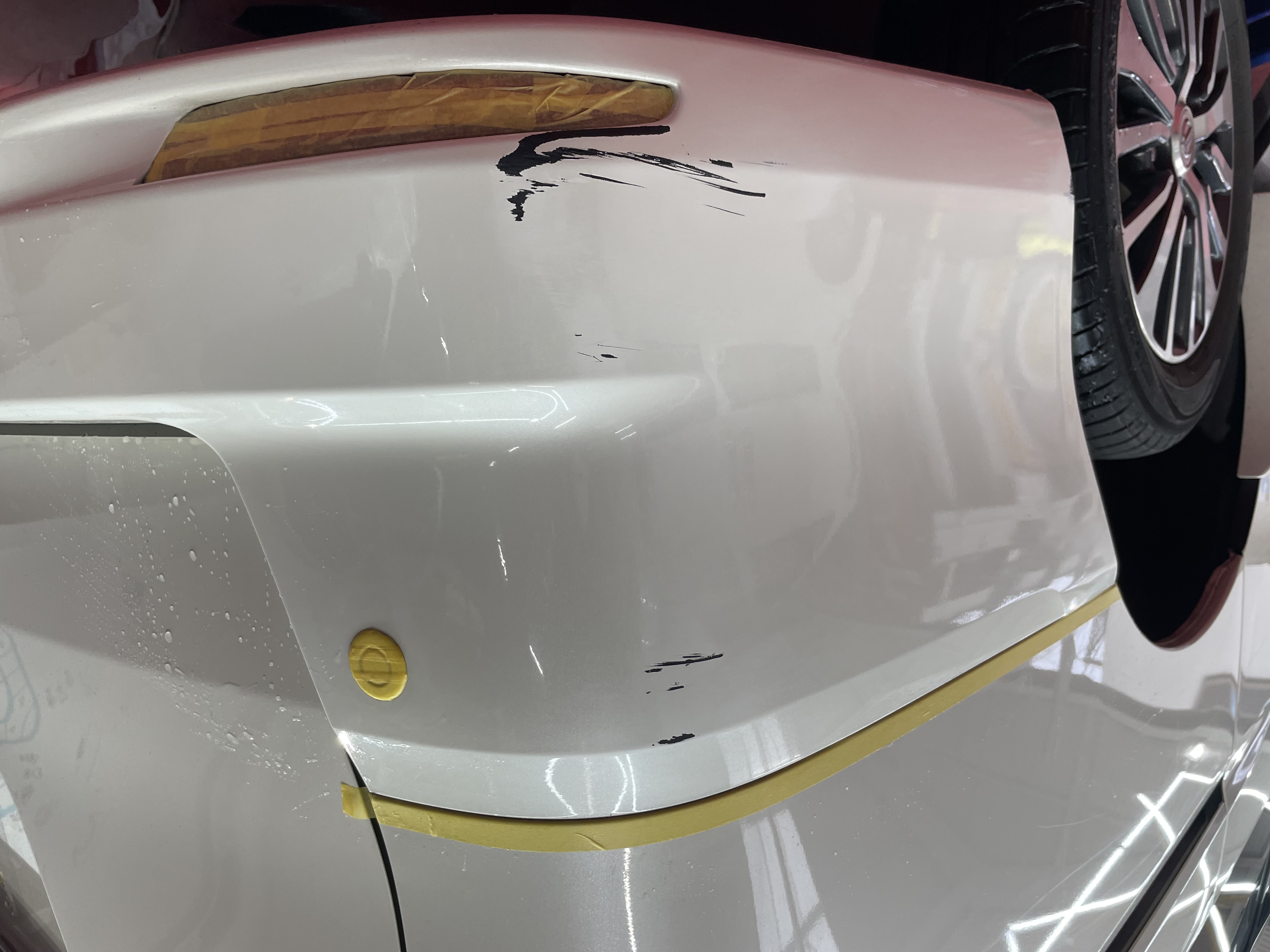 IMG_7707.jpeg?1776380526244